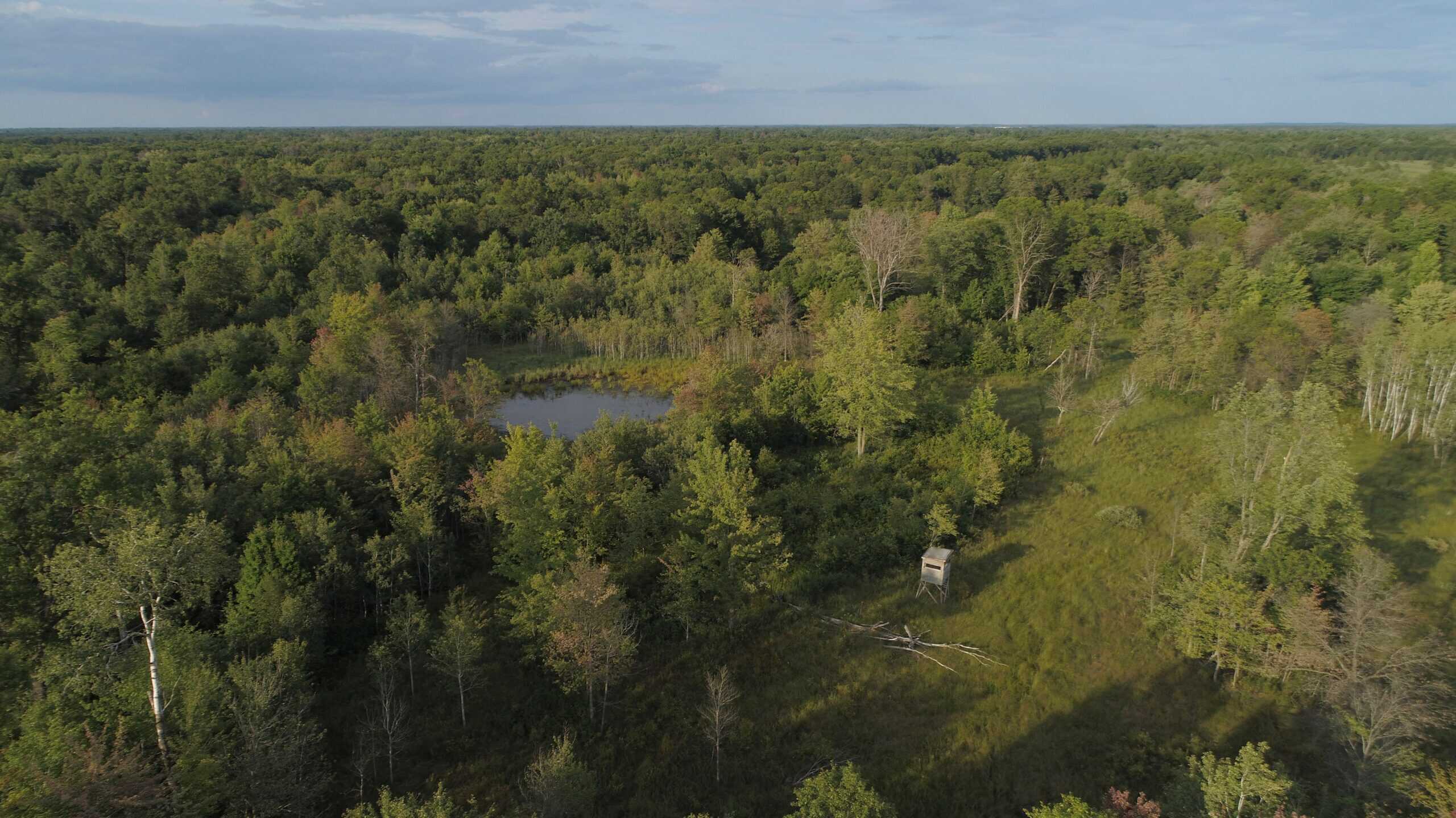 Nearly 1,000-acre Landholding for Sale in Wisconsin