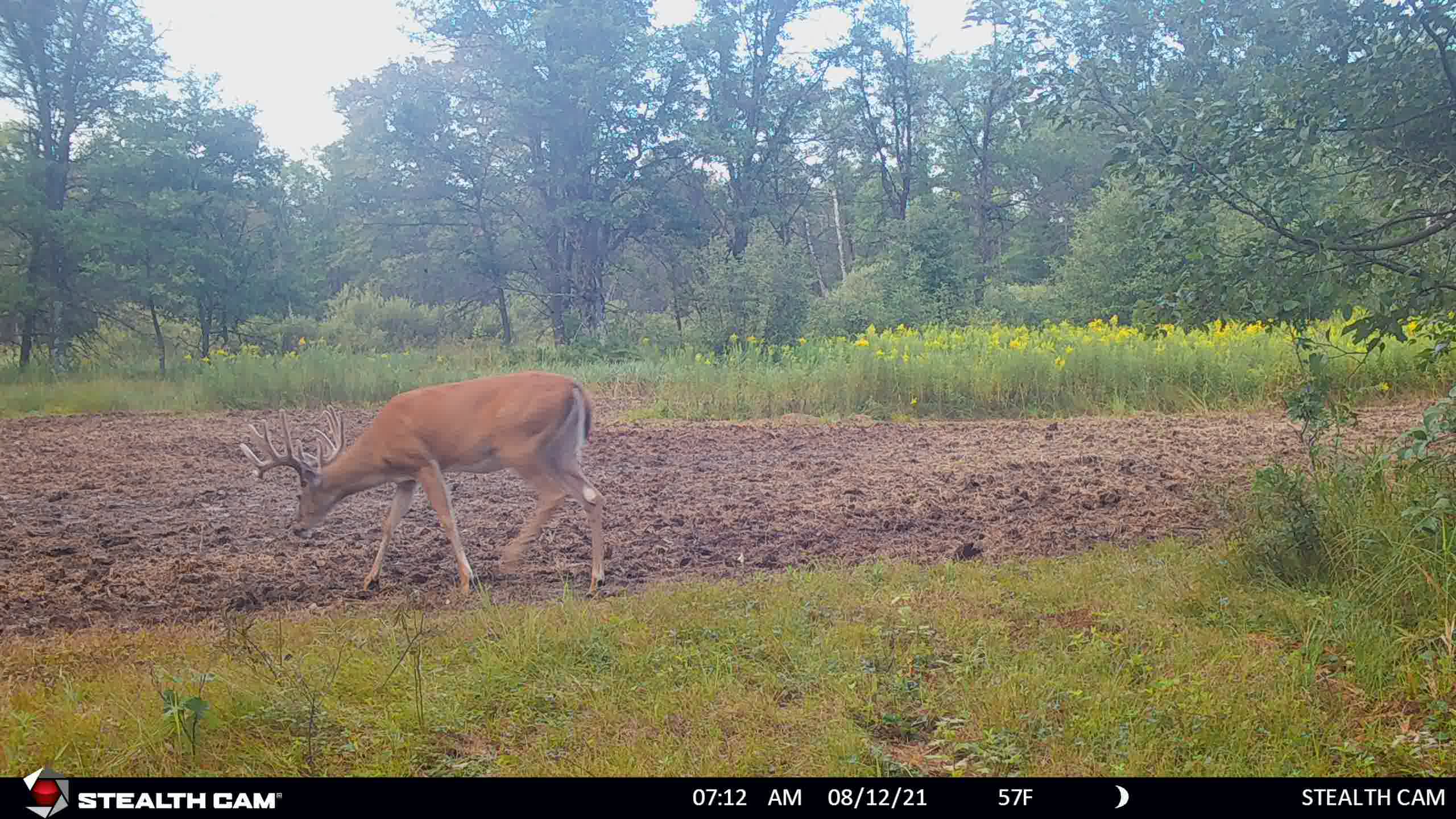 Nearly 1,000-acre Landholding for Sale in Wisconsin