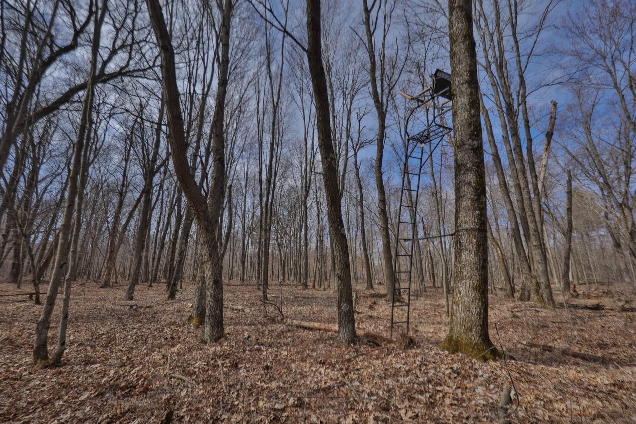 Nearly 1,000-acre Landholding for Sale in Wisconsin