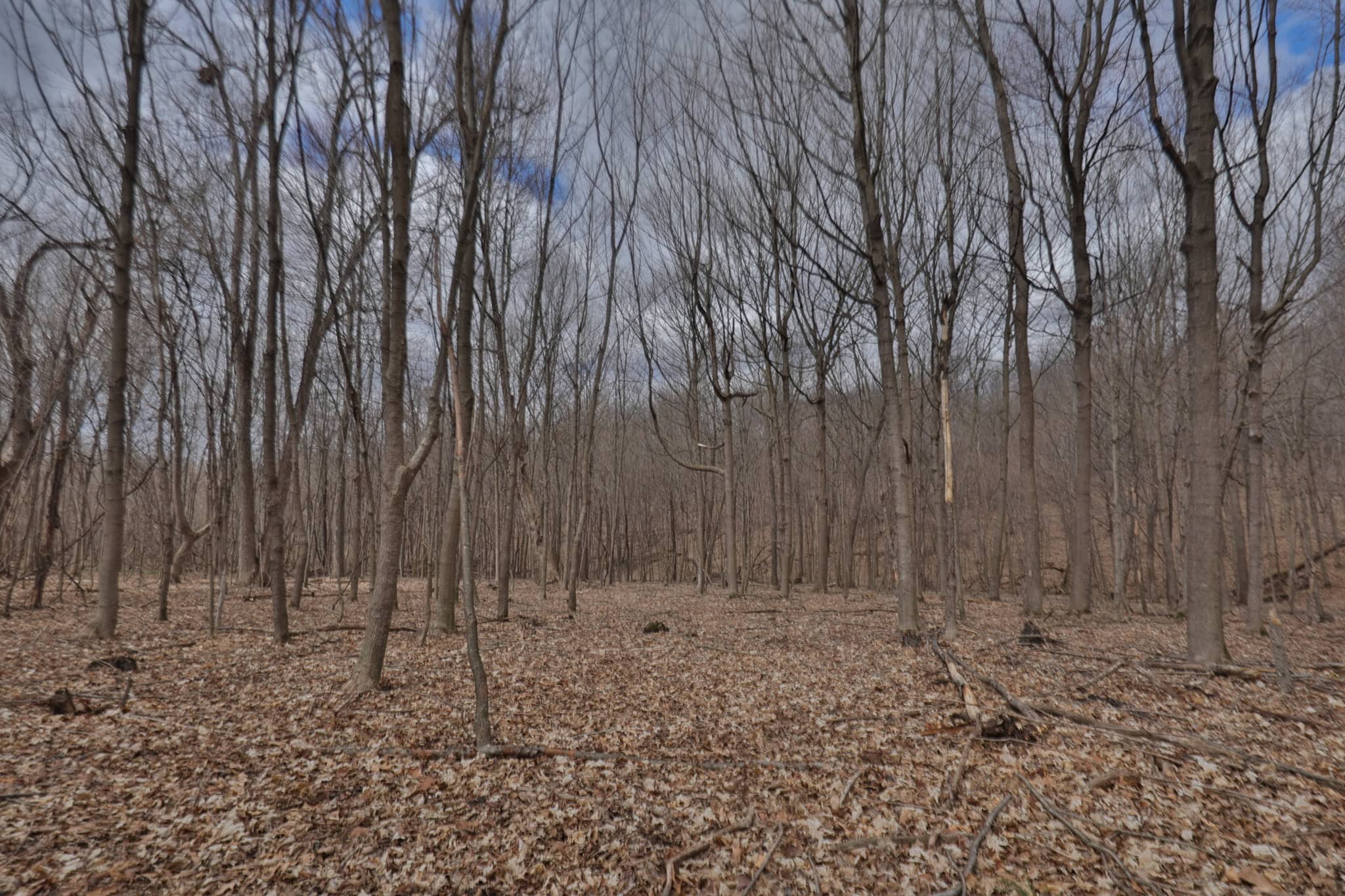 Hunting Land for Sale in Richland County, Wisconsin