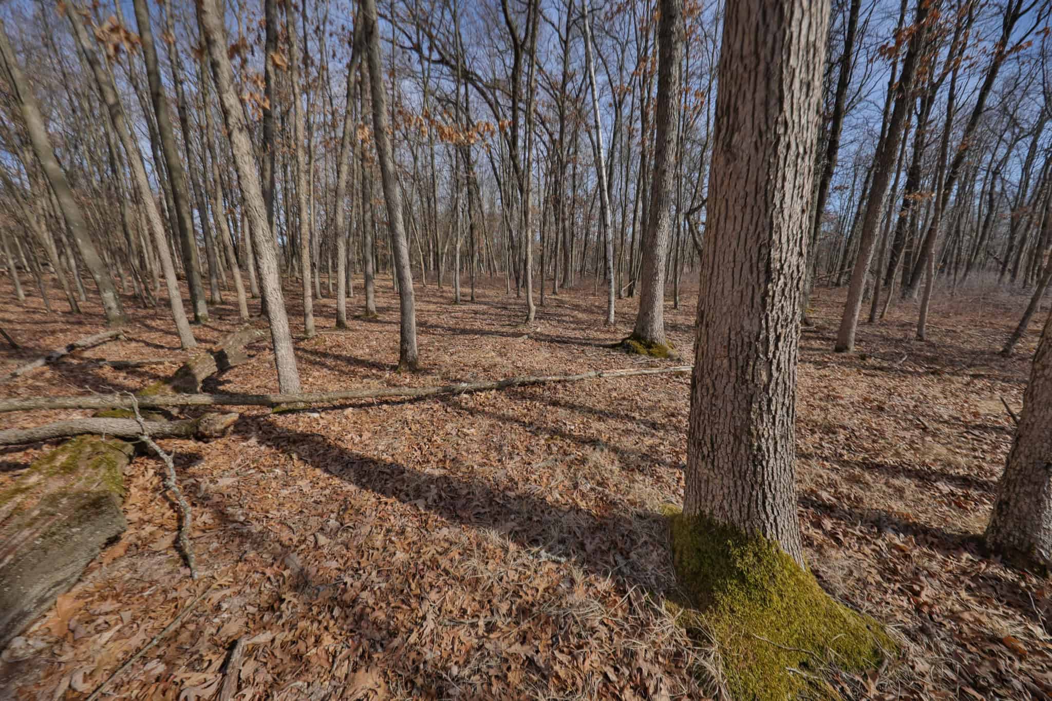 Nearly 1,000-acre Landholding for Sale in Wisconsin
