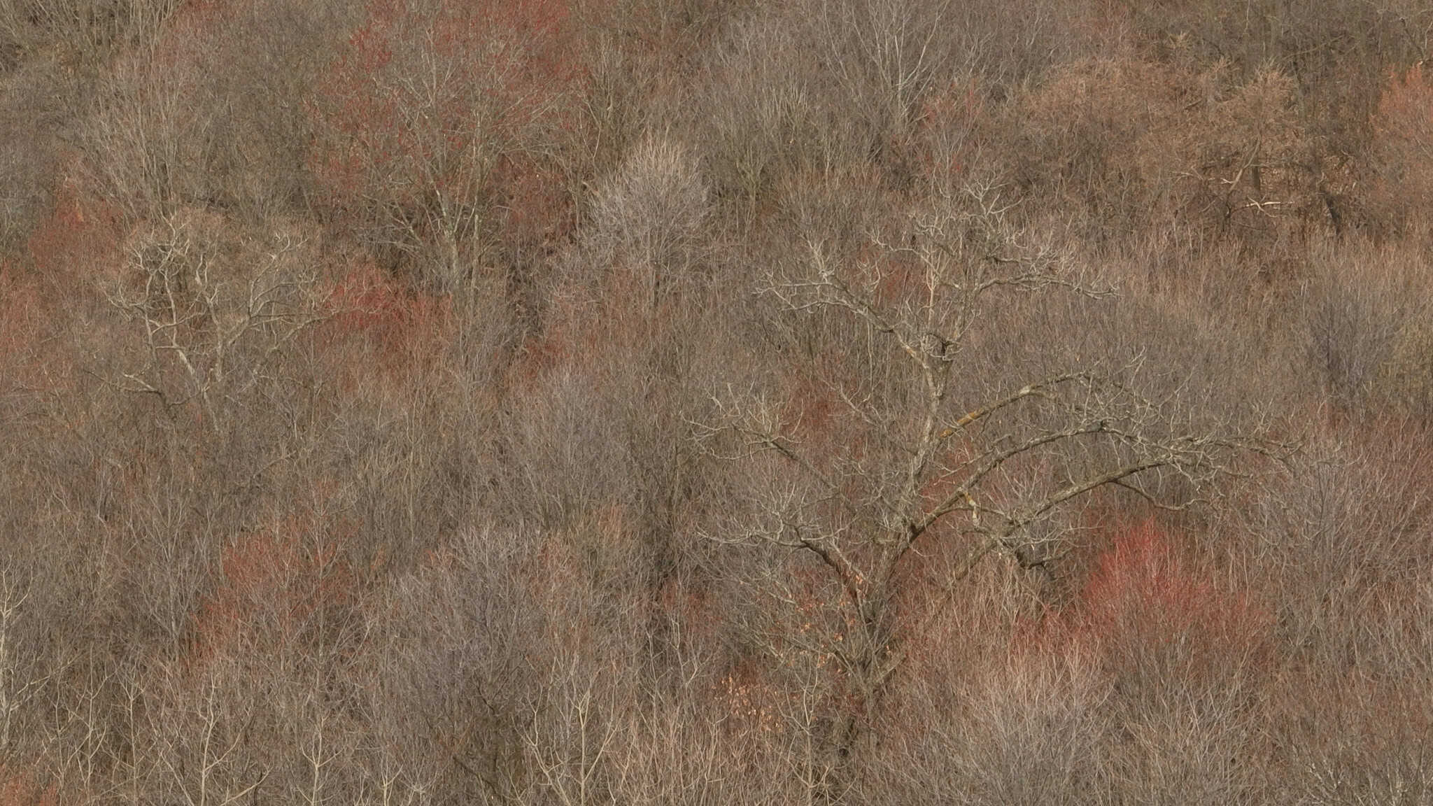 Hunting Land for Sale in Richland County, Wisconsin