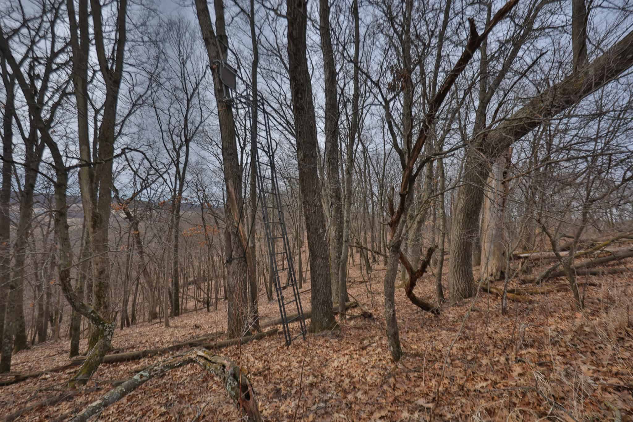 World-Class Recreational and Hunting Property for Sale in Jackson County, Wisconsin