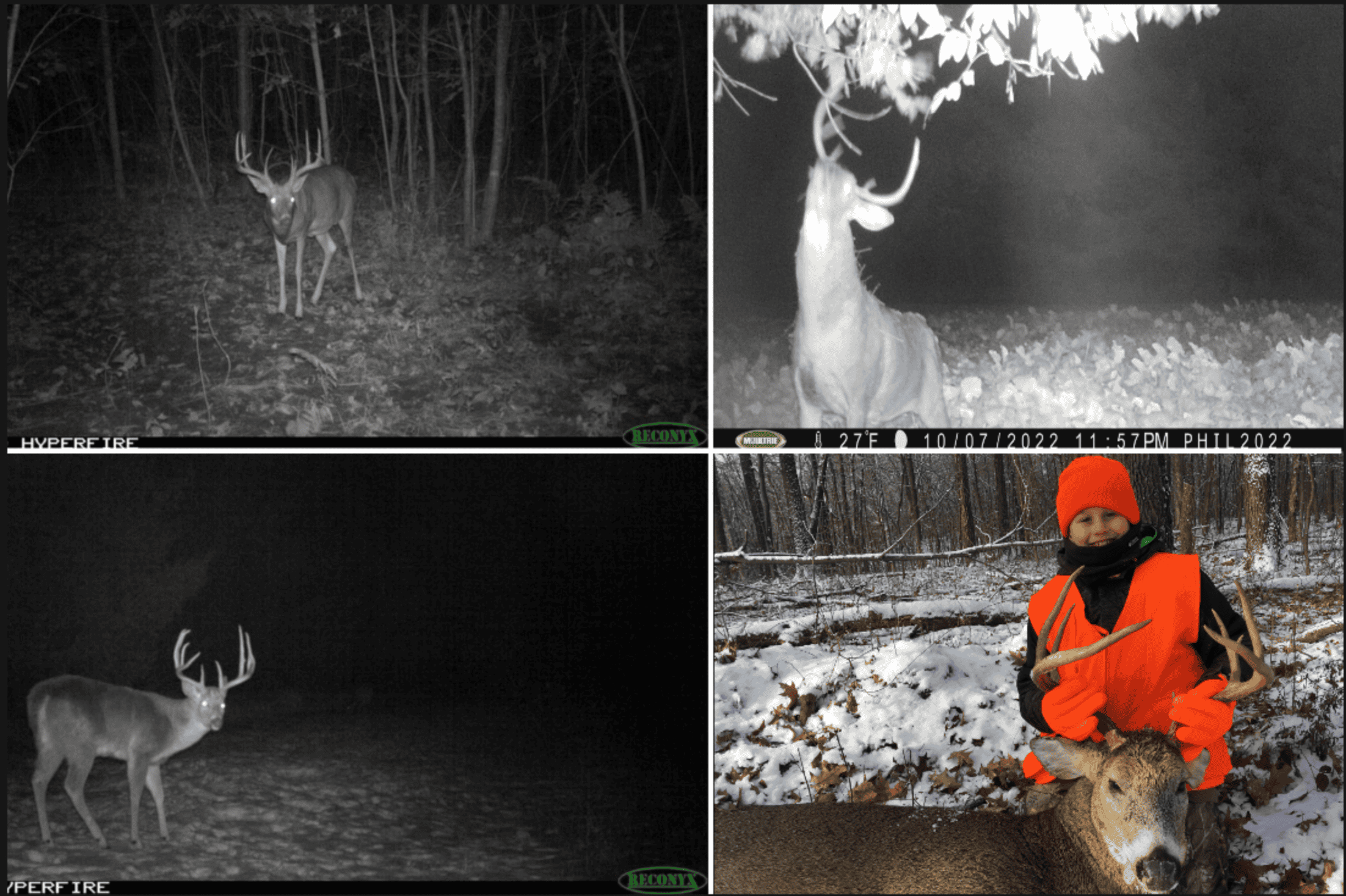 Hunting Land for Sale in Richland County, Wisconsin