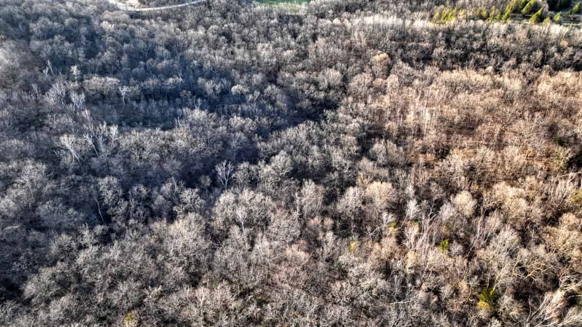 Rare Driftless Area Retreat: 28+/- Acres in Crawford County, WI