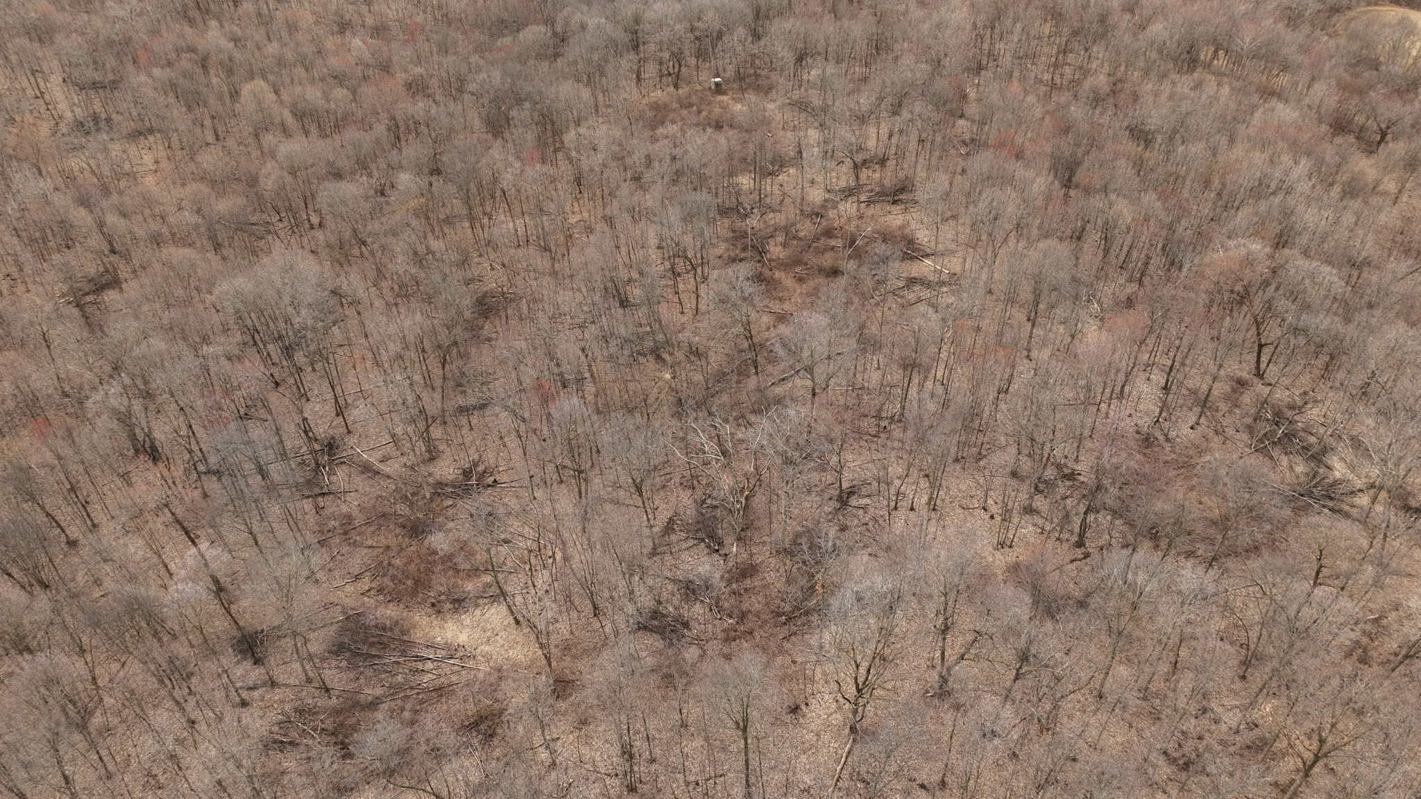 Hunting Land for Sale in Richland County, Wisconsin