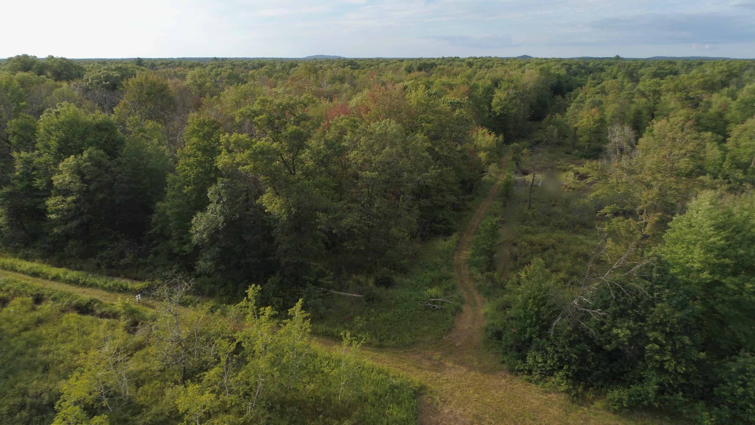Nearly 1,000-acre Landholding for Sale in Wisconsin