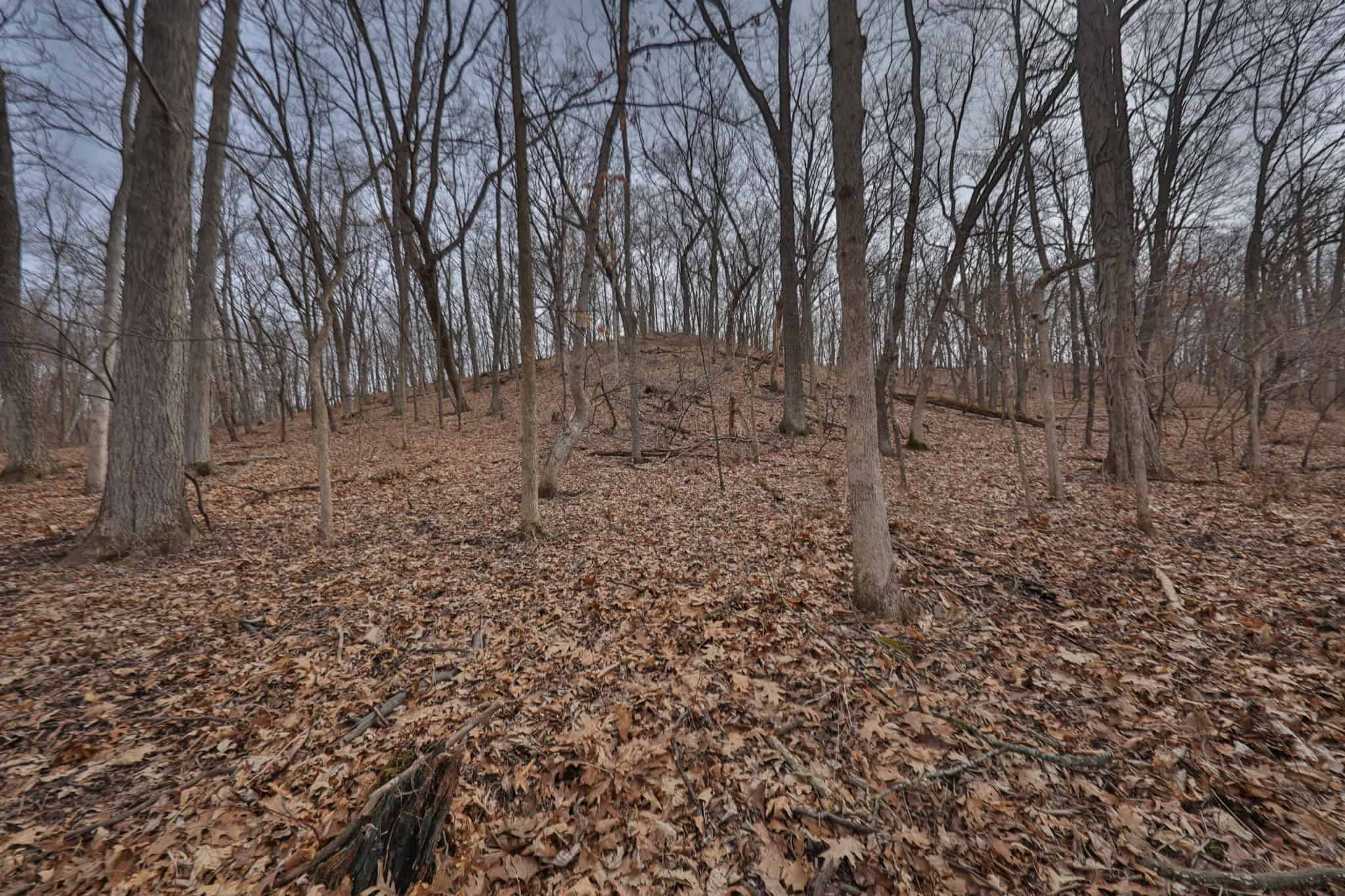 World-Class Recreational and Hunting Property for Sale in Jackson County, Wisconsin
