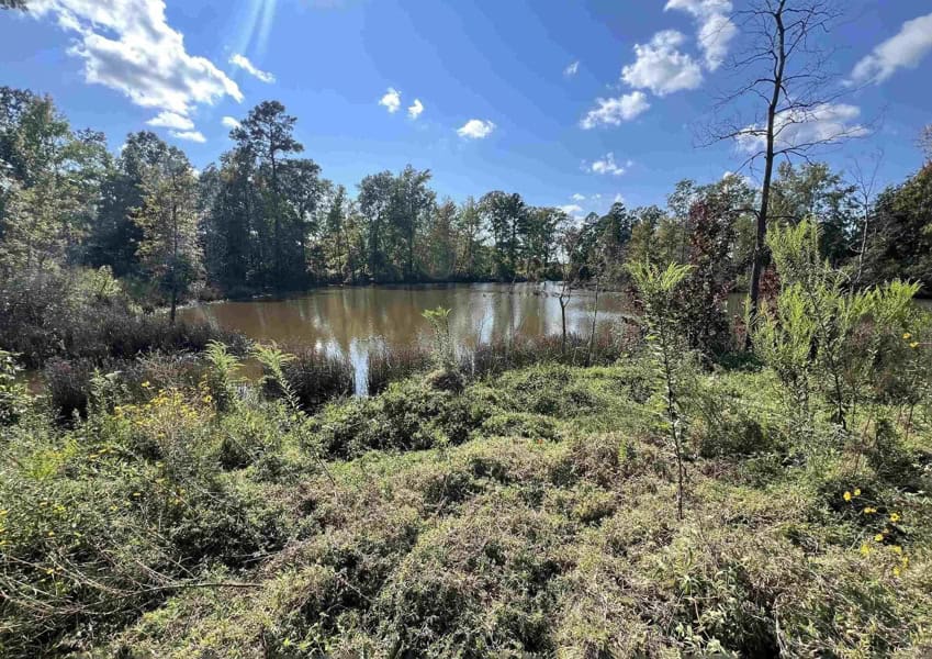 Arkansas Retreat – 100 Acres with New Home, Shop & Private Lake
