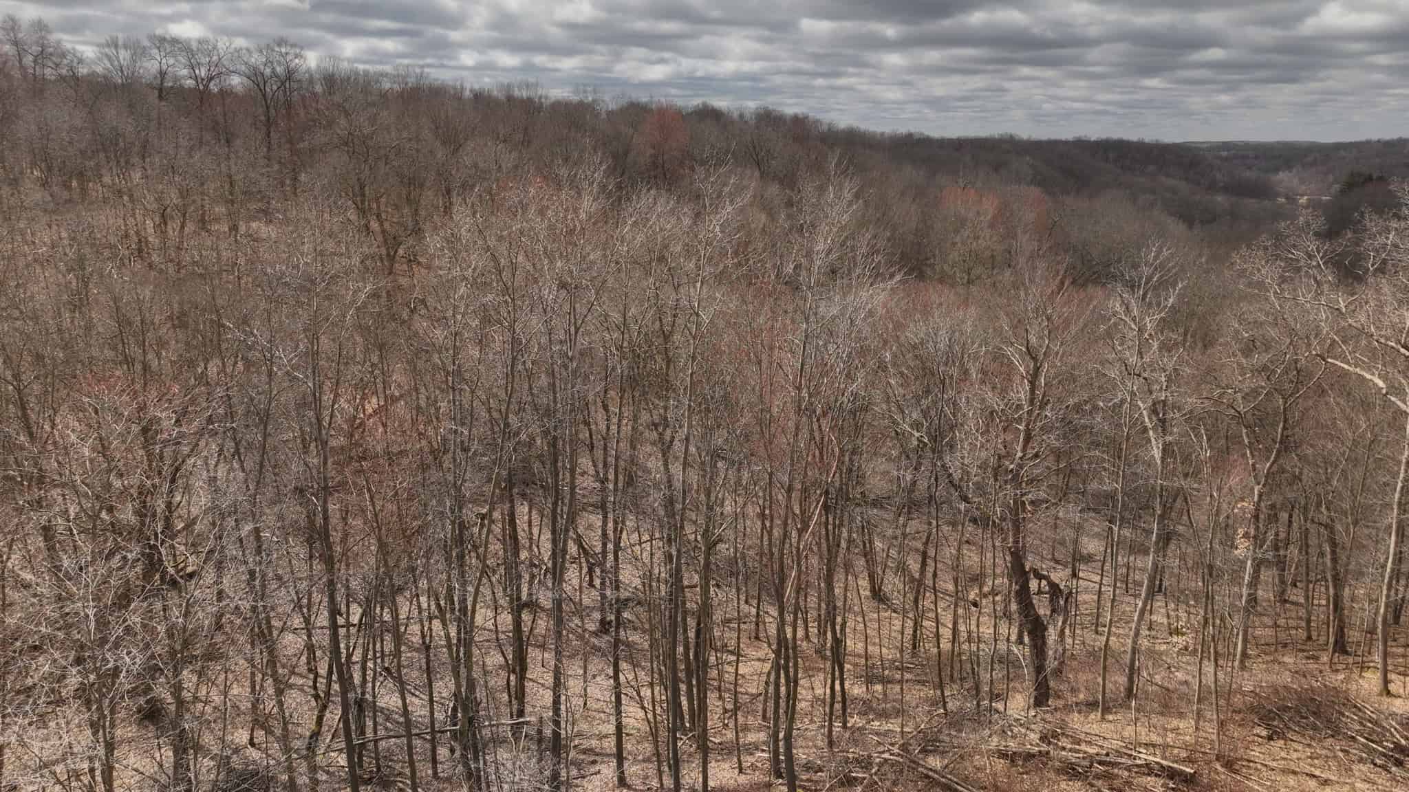 Hunting Land for Sale in Richland County, Wisconsin