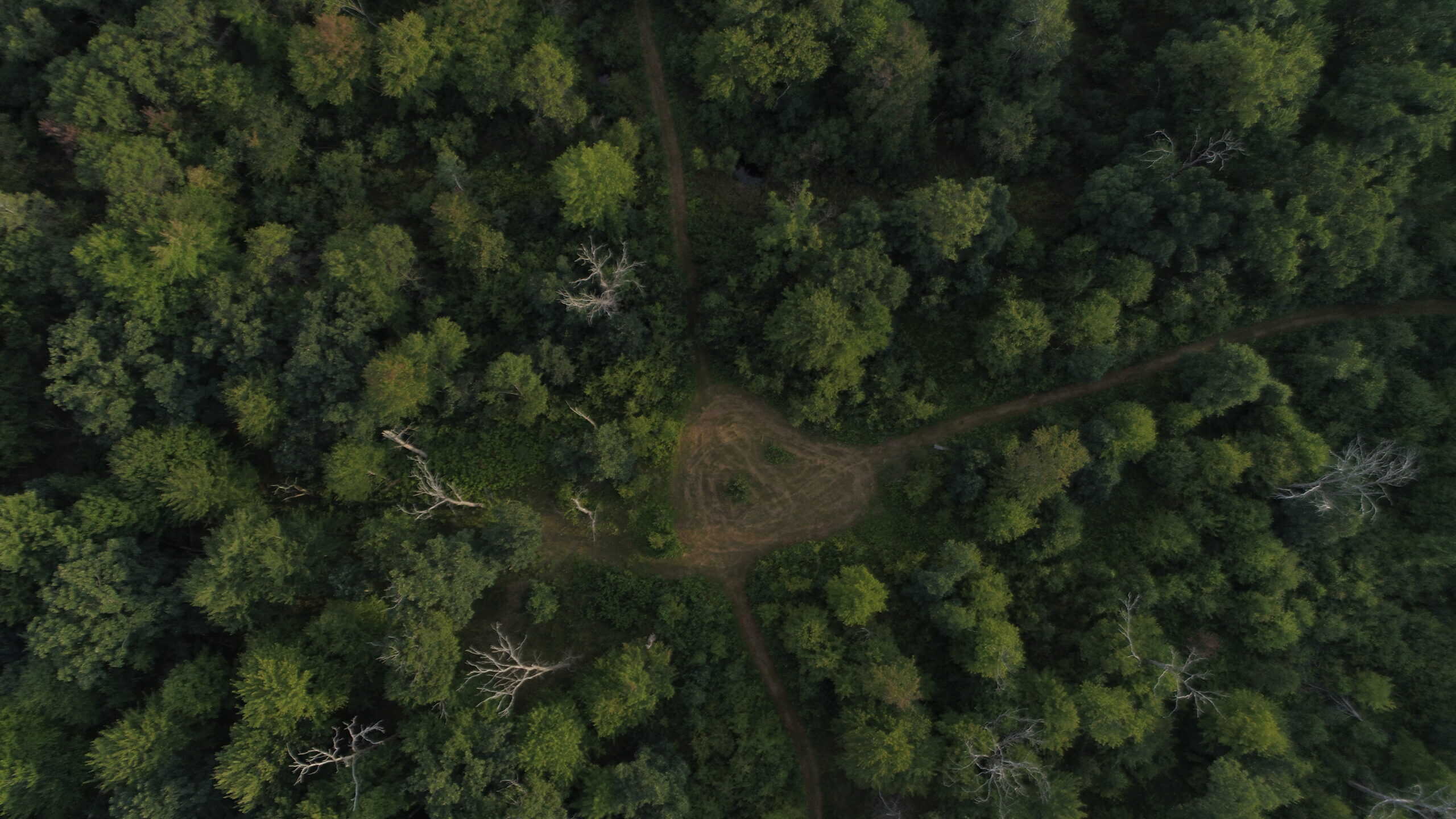 Nearly 1,000-acre Landholding for Sale in Wisconsin