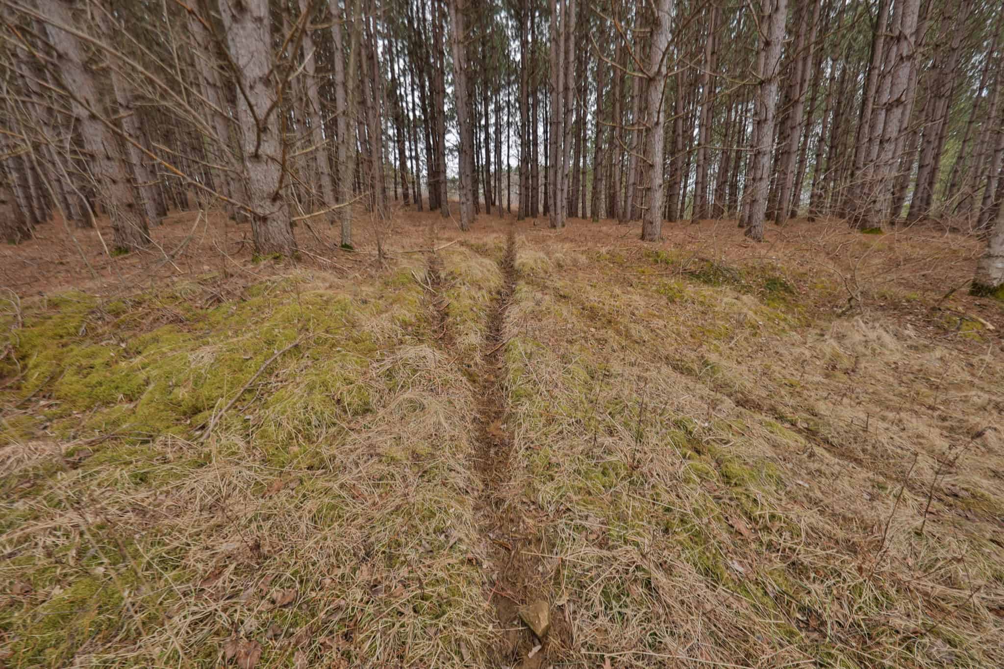 World-Class Recreational and Hunting Property for Sale in Jackson County, Wisconsin