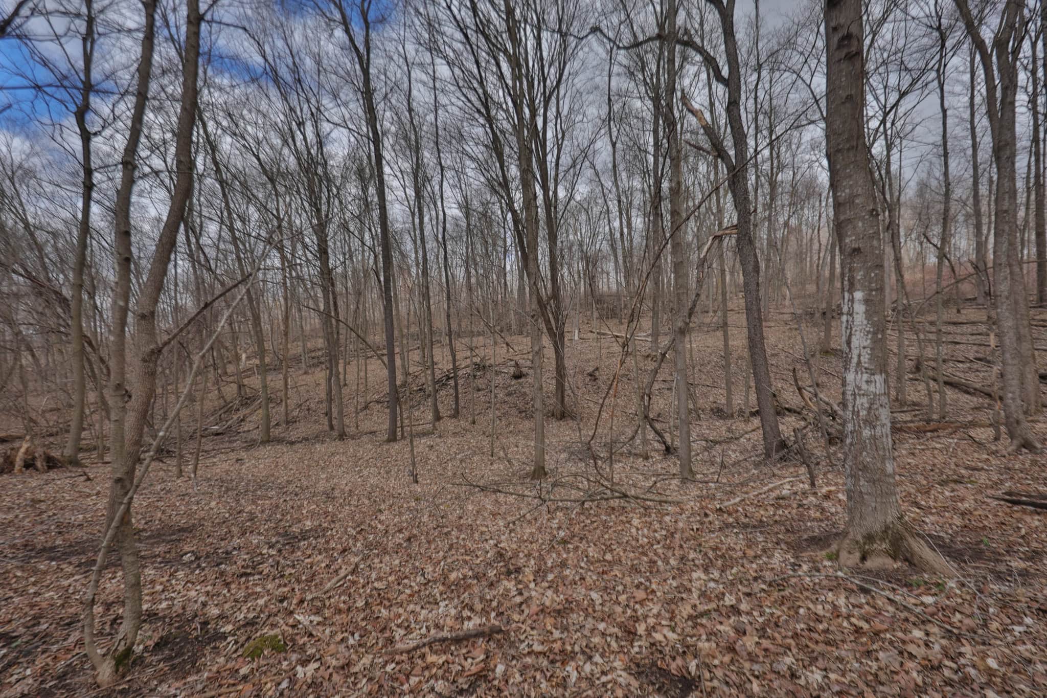Hunting Land for Sale in Richland County, Wisconsin