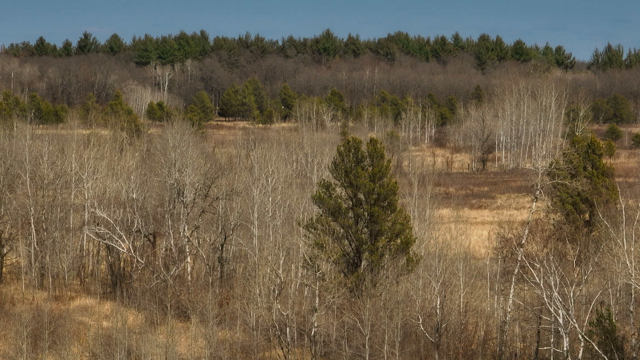 Nearly 1,000-acre Landholding for Sale in Wisconsin