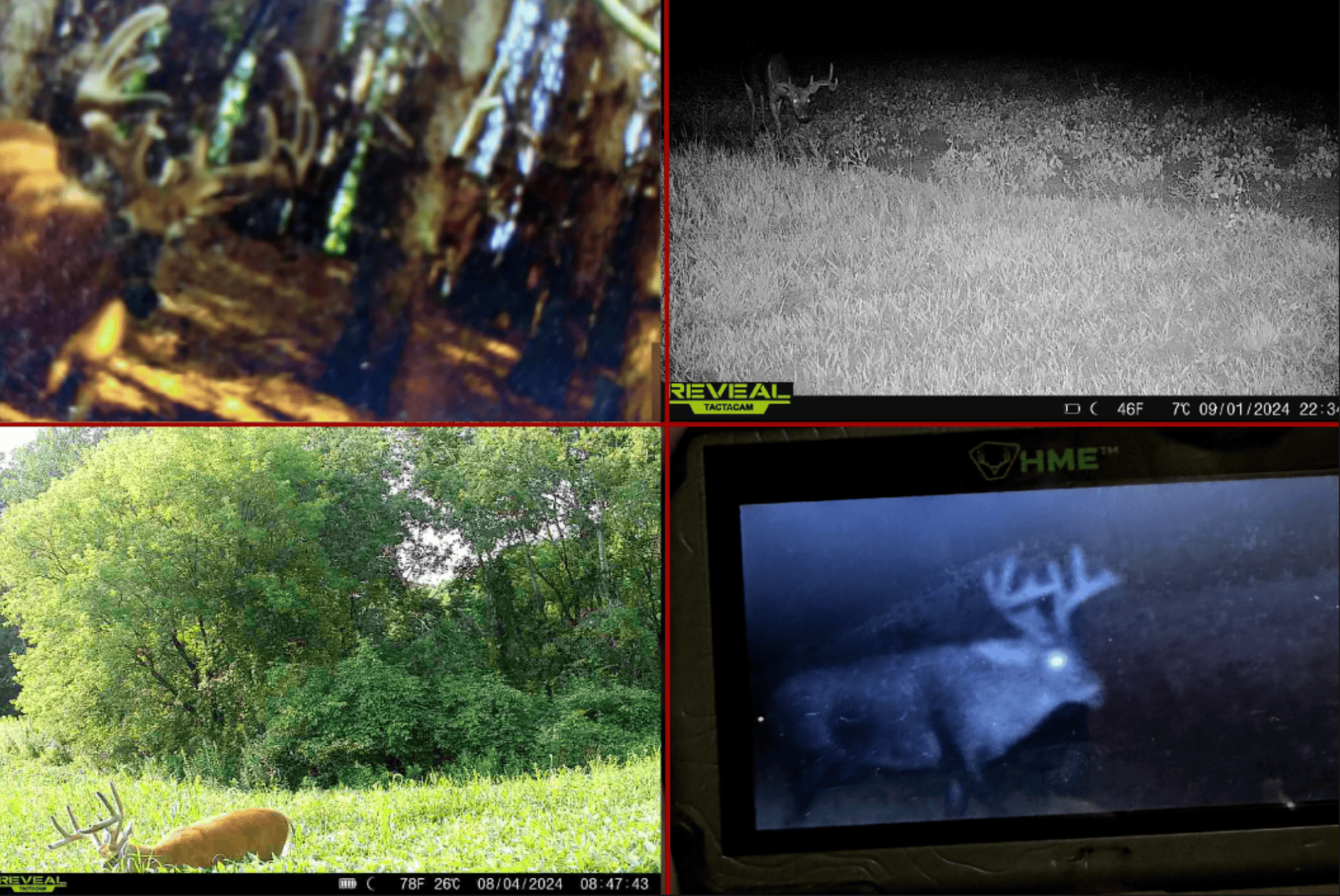 World-Class Recreational and Hunting Property for Sale in Jackson County, Wisconsin