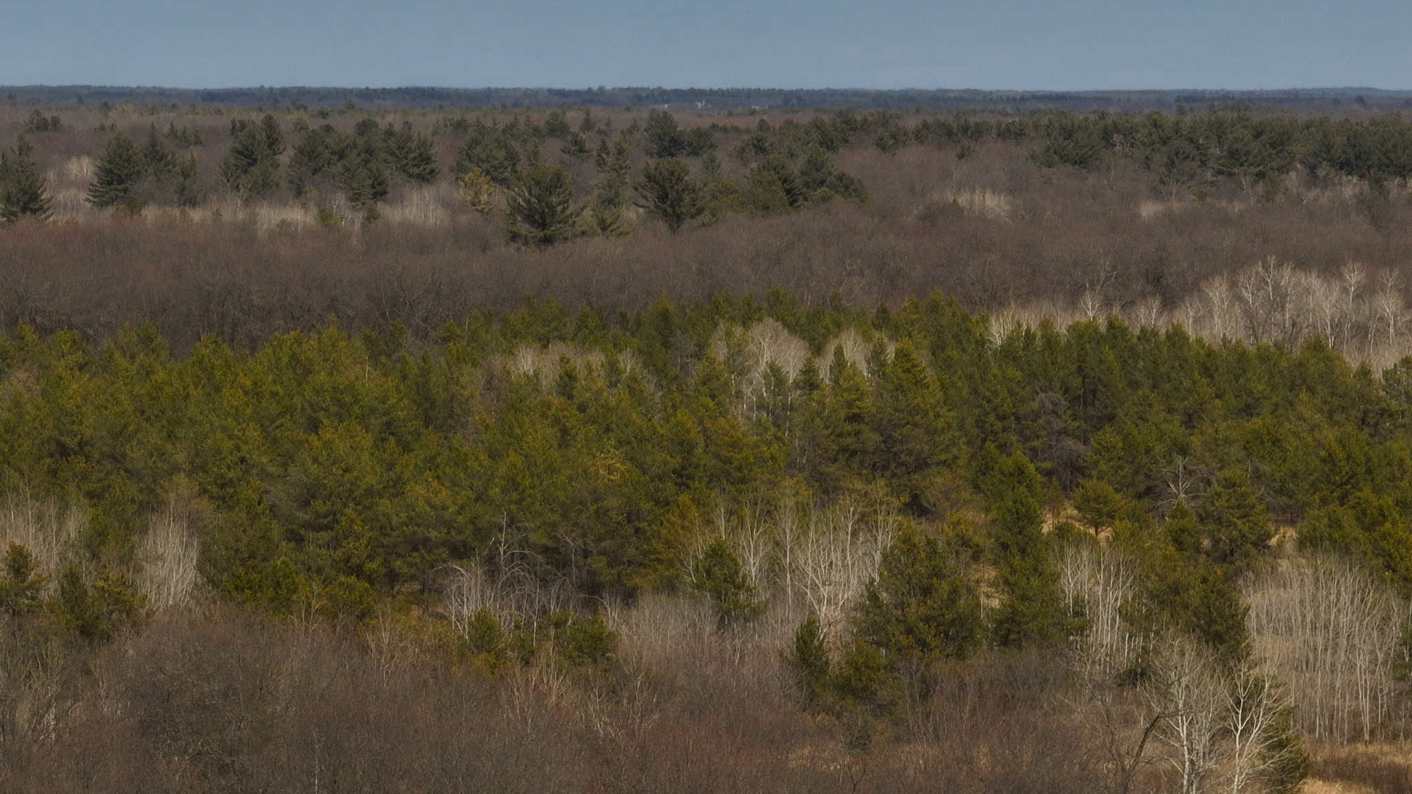 Nearly 1,000-acre Landholding for Sale in Wisconsin