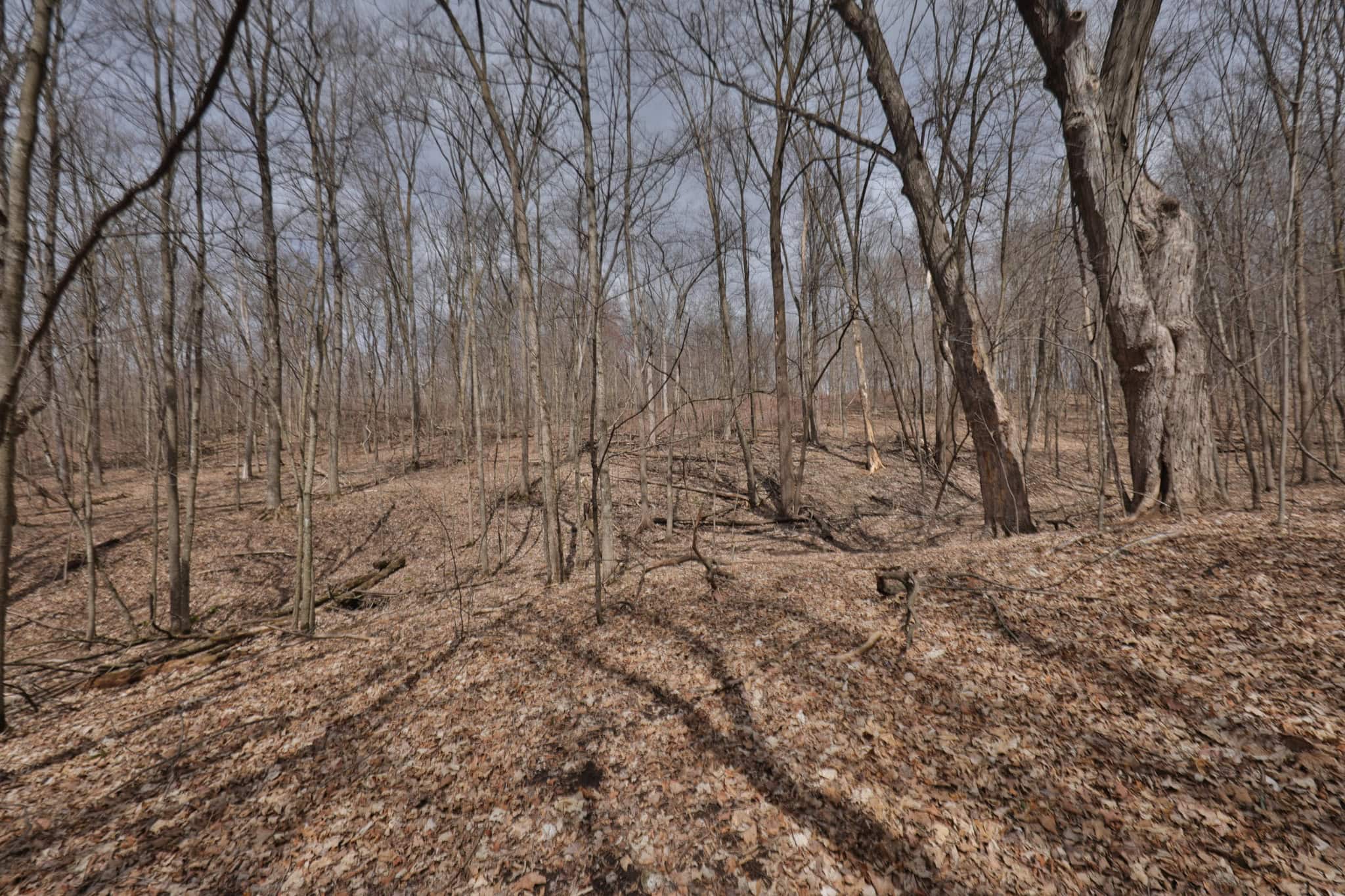 Hunting Land for Sale in Richland County, Wisconsin