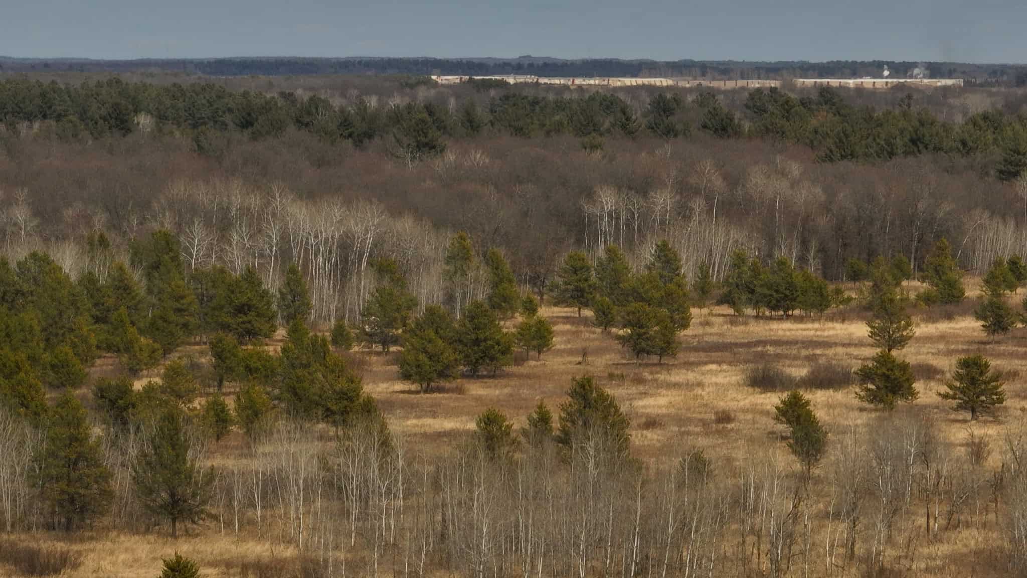 Nearly 1,000-acre Landholding for Sale in Wisconsin