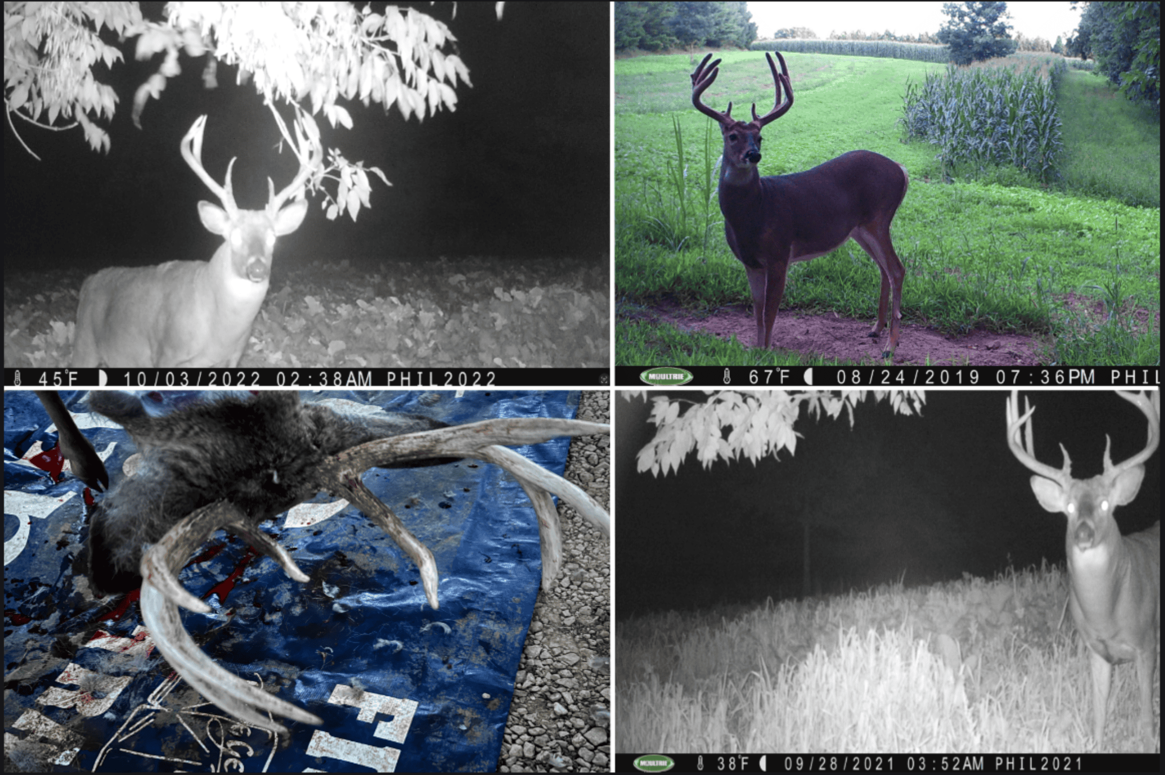 Hunting Land for Sale in Richland County, Wisconsin