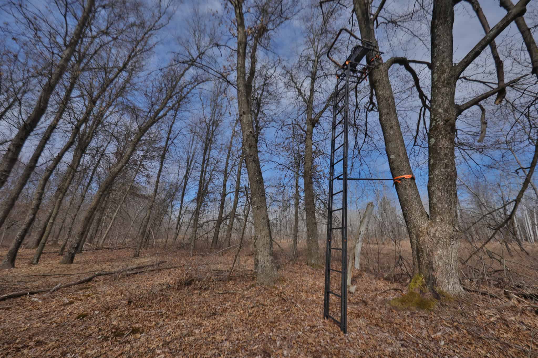Nearly 1,000-acre Landholding for Sale in Wisconsin