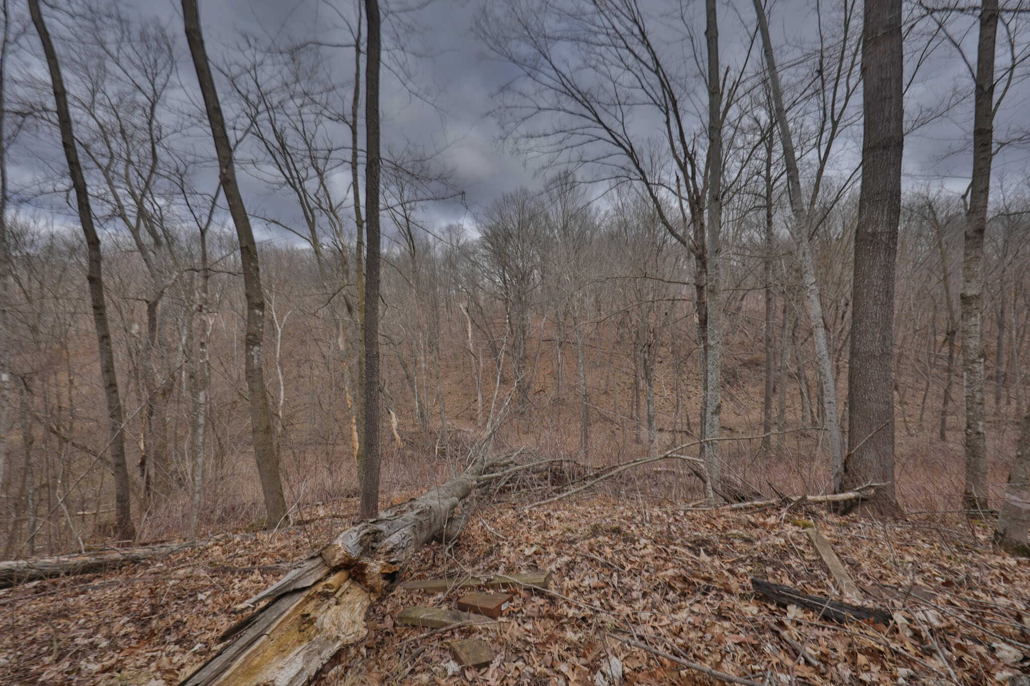 Hunting Land for Sale in Richland County, Wisconsin