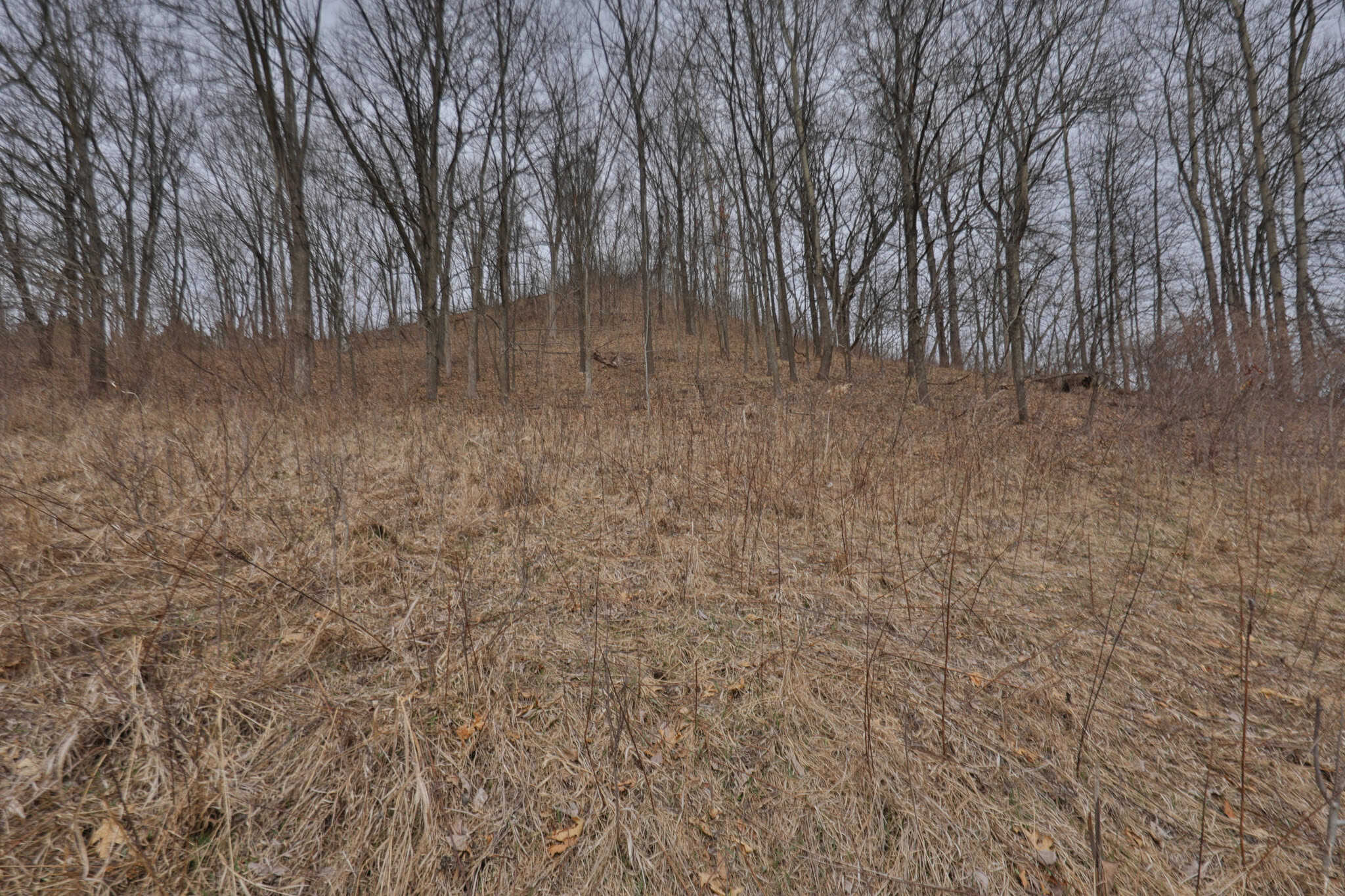 World-Class Recreational and Hunting Property for Sale in Jackson County, Wisconsin