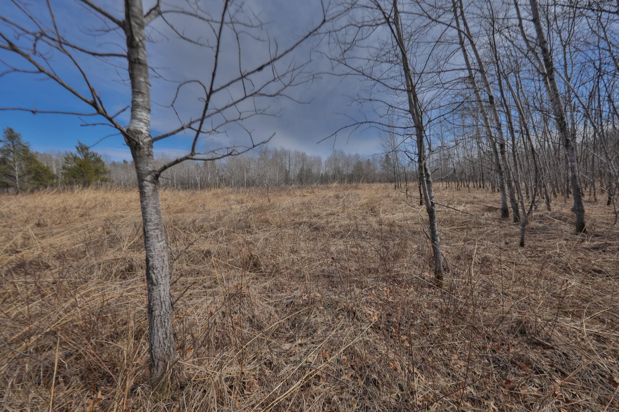 Nearly 1,000-acre Landholding for Sale in Wisconsin