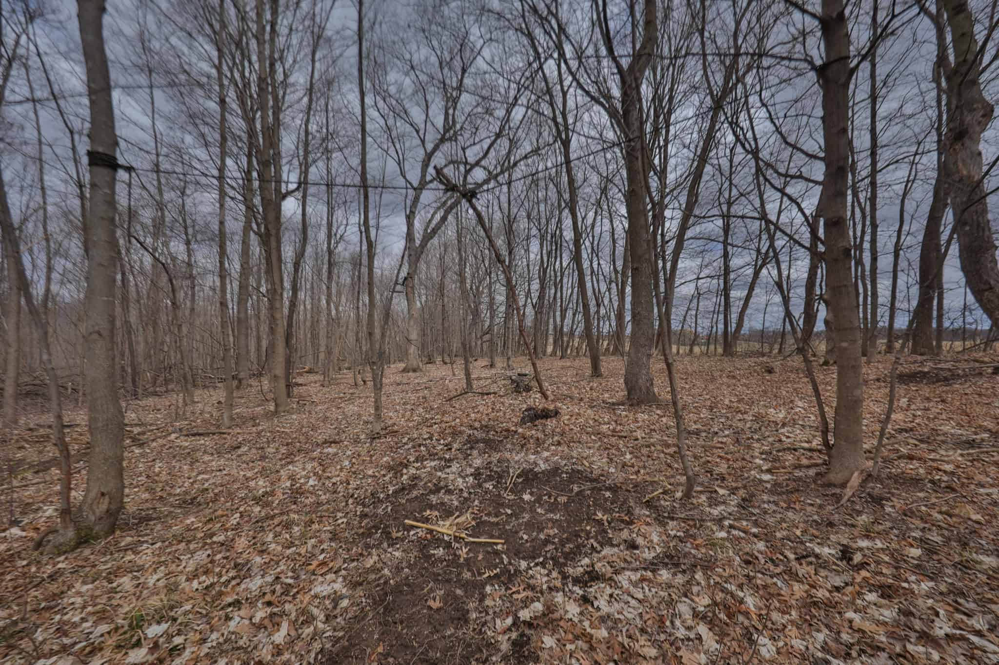 Hunting Land for Sale in Richland County, Wisconsin