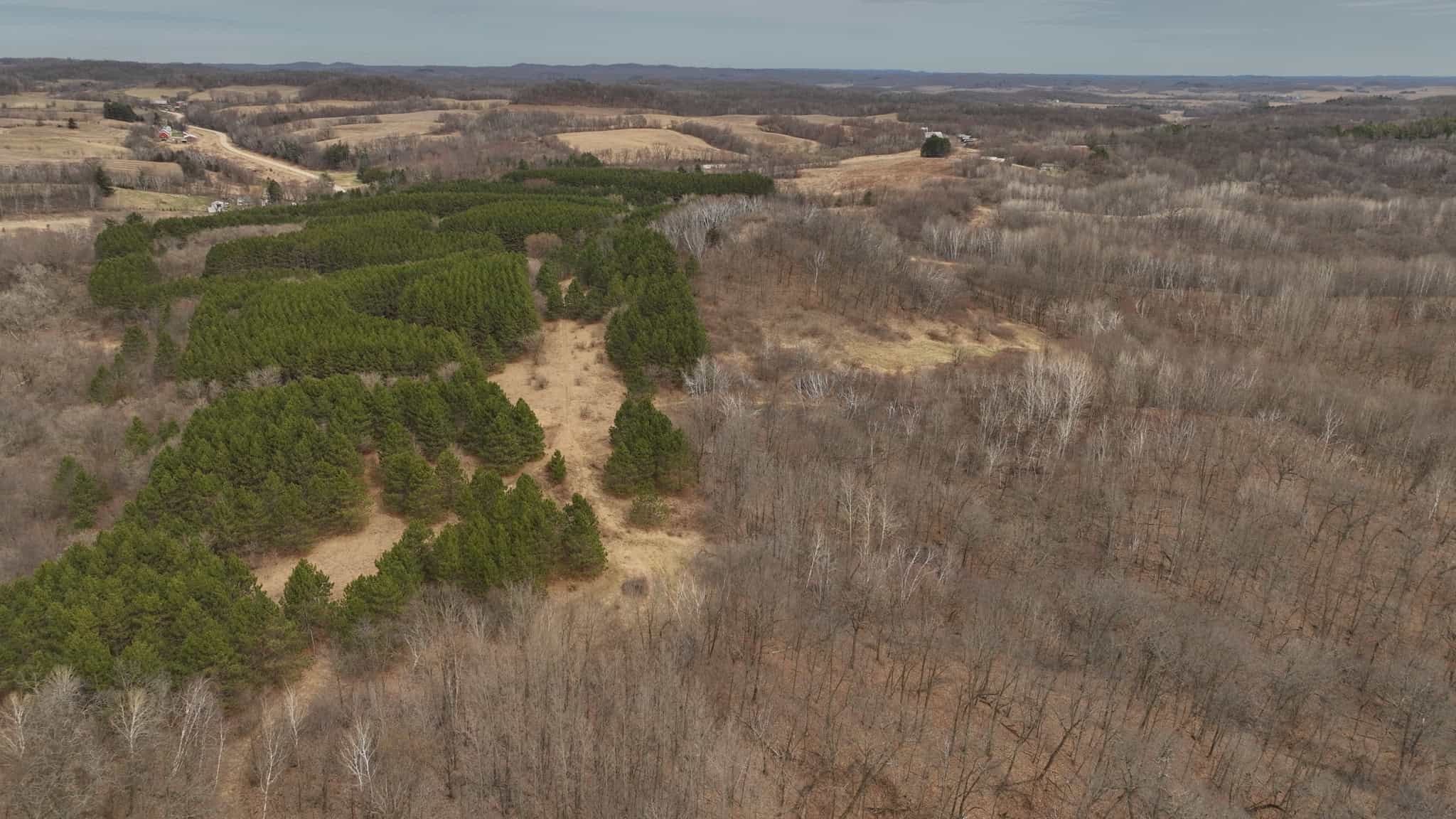 World-Class Recreational and Hunting Property for Sale in Jackson County, Wisconsin