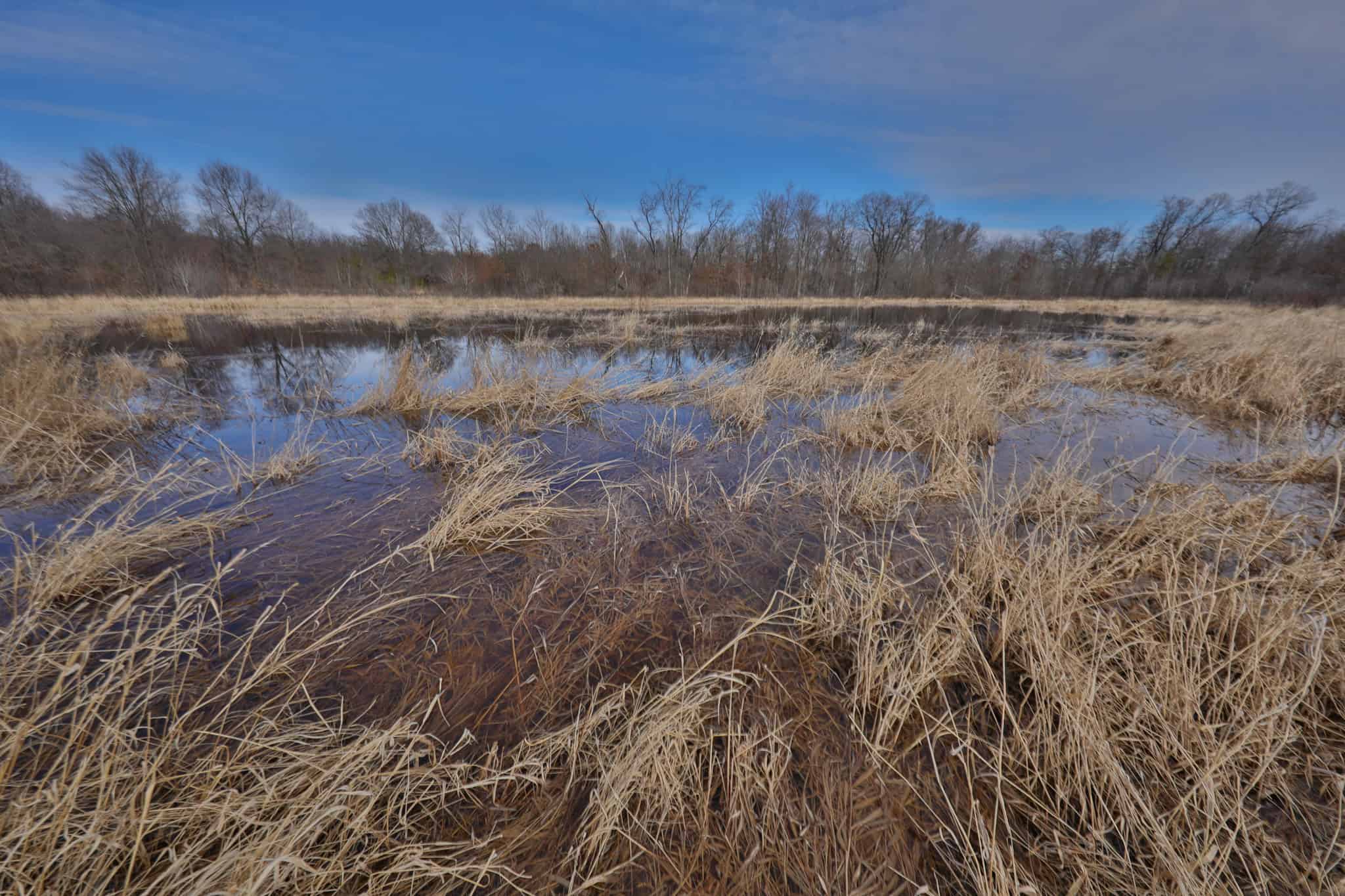Nearly 1,000-acre Landholding for Sale in Wisconsin