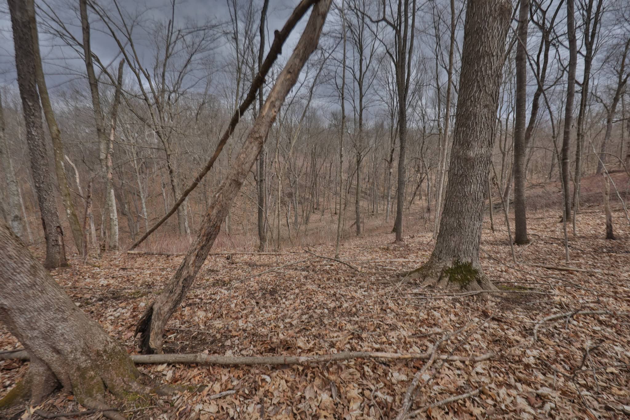 Hunting Land for Sale in Richland County, Wisconsin