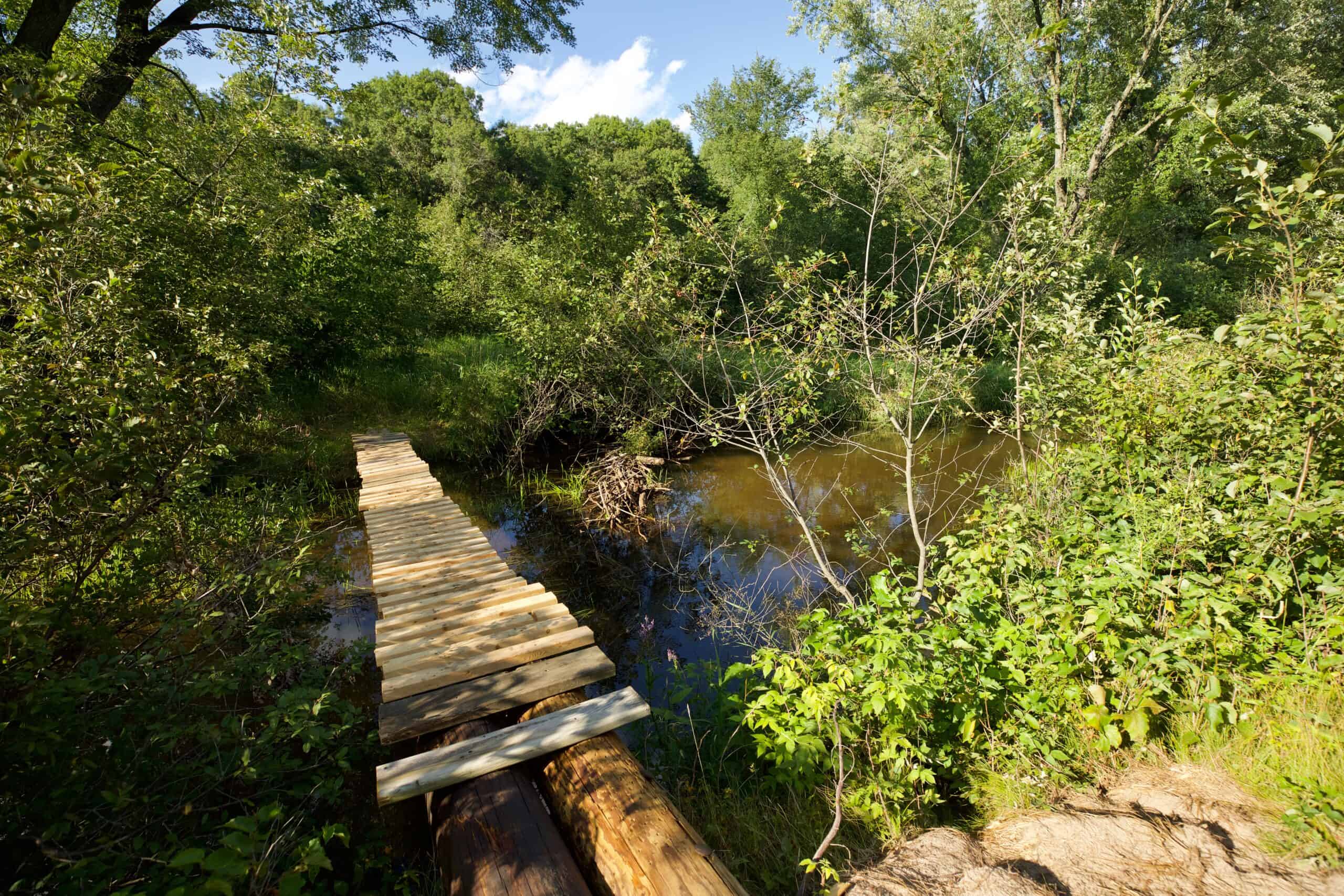 Nearly 1,000-acre Landholding for Sale in Wisconsin