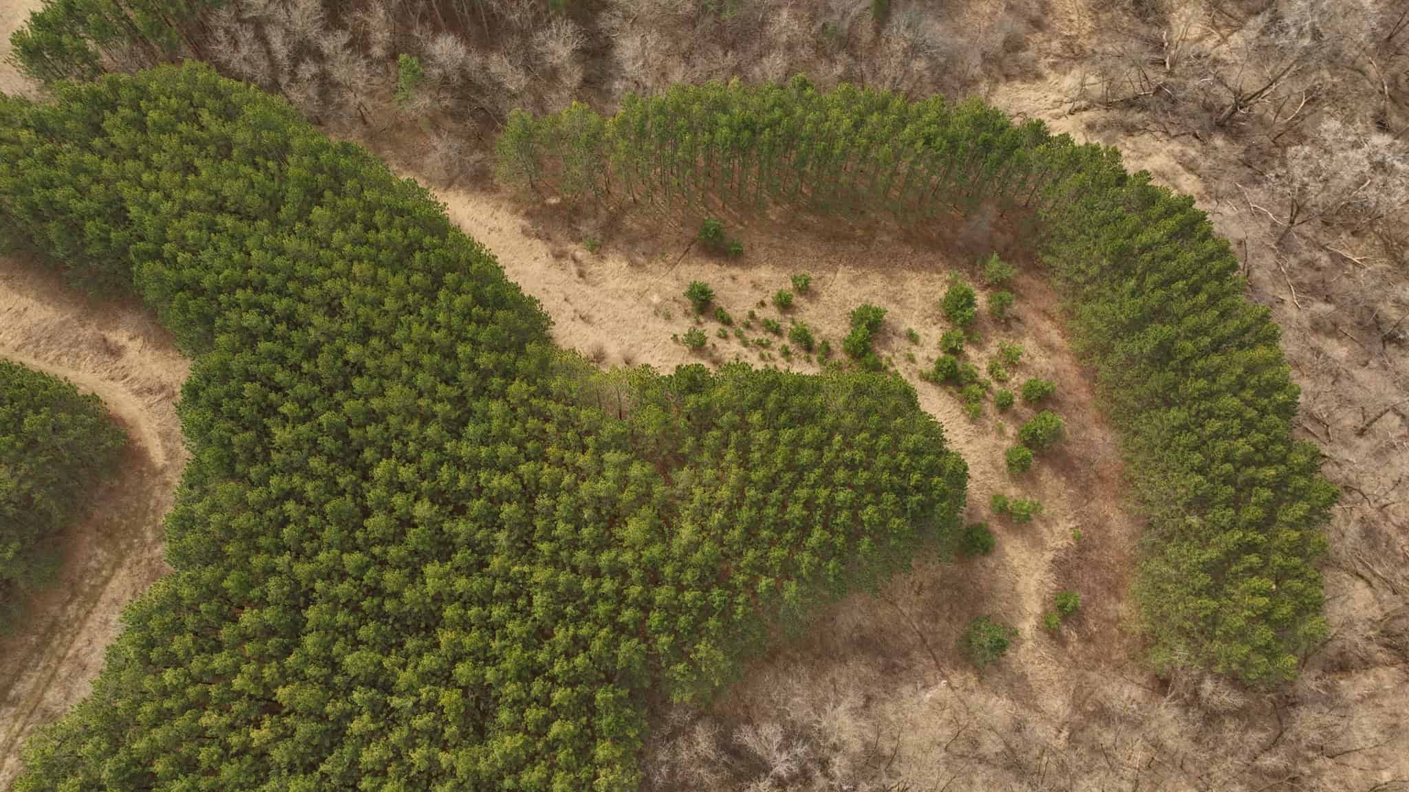 World-Class Recreational and Hunting Property for Sale in Jackson County, Wisconsin
