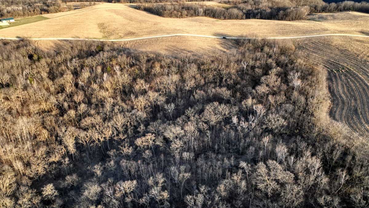 Rare Driftless Area Retreat: 28+/- Acres in Crawford County, WI