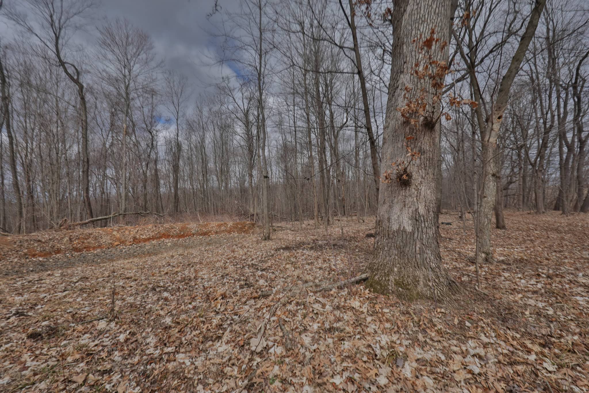 Hunting Land for Sale in Richland County, Wisconsin