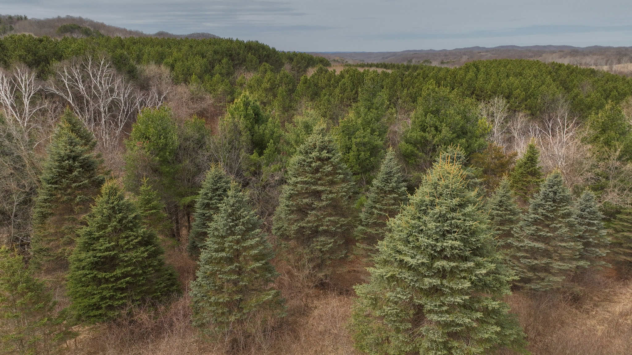 World-Class Recreational and Hunting Property for Sale in Jackson County, Wisconsin