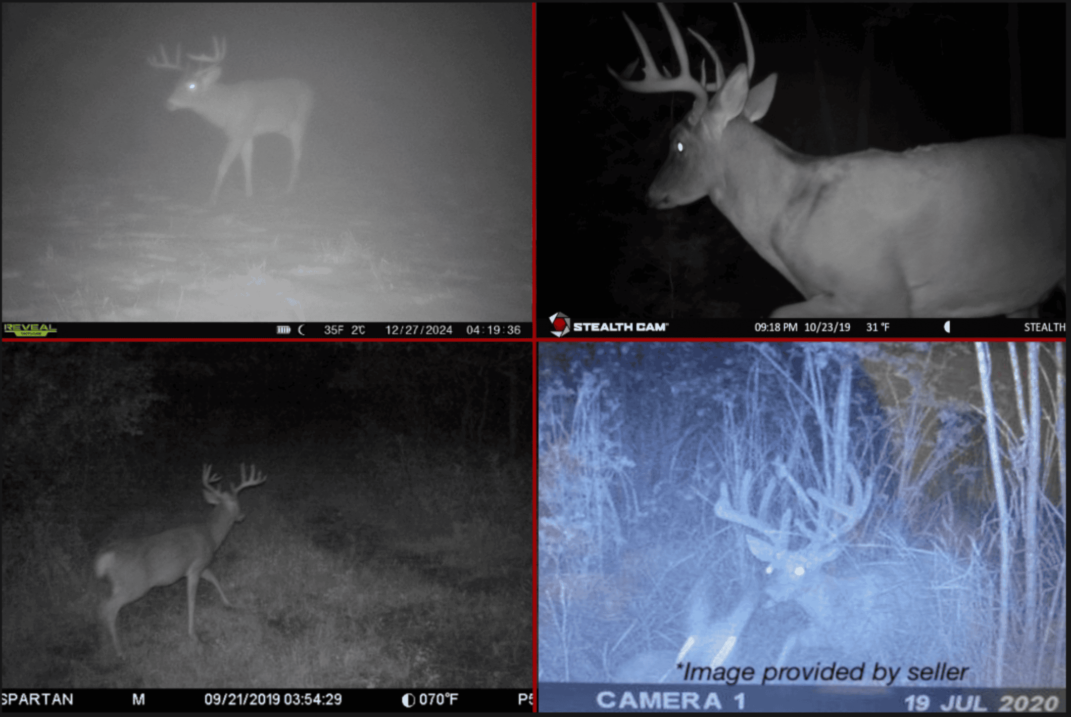 Nearly 1,000-acre Landholding for Sale in Wisconsin