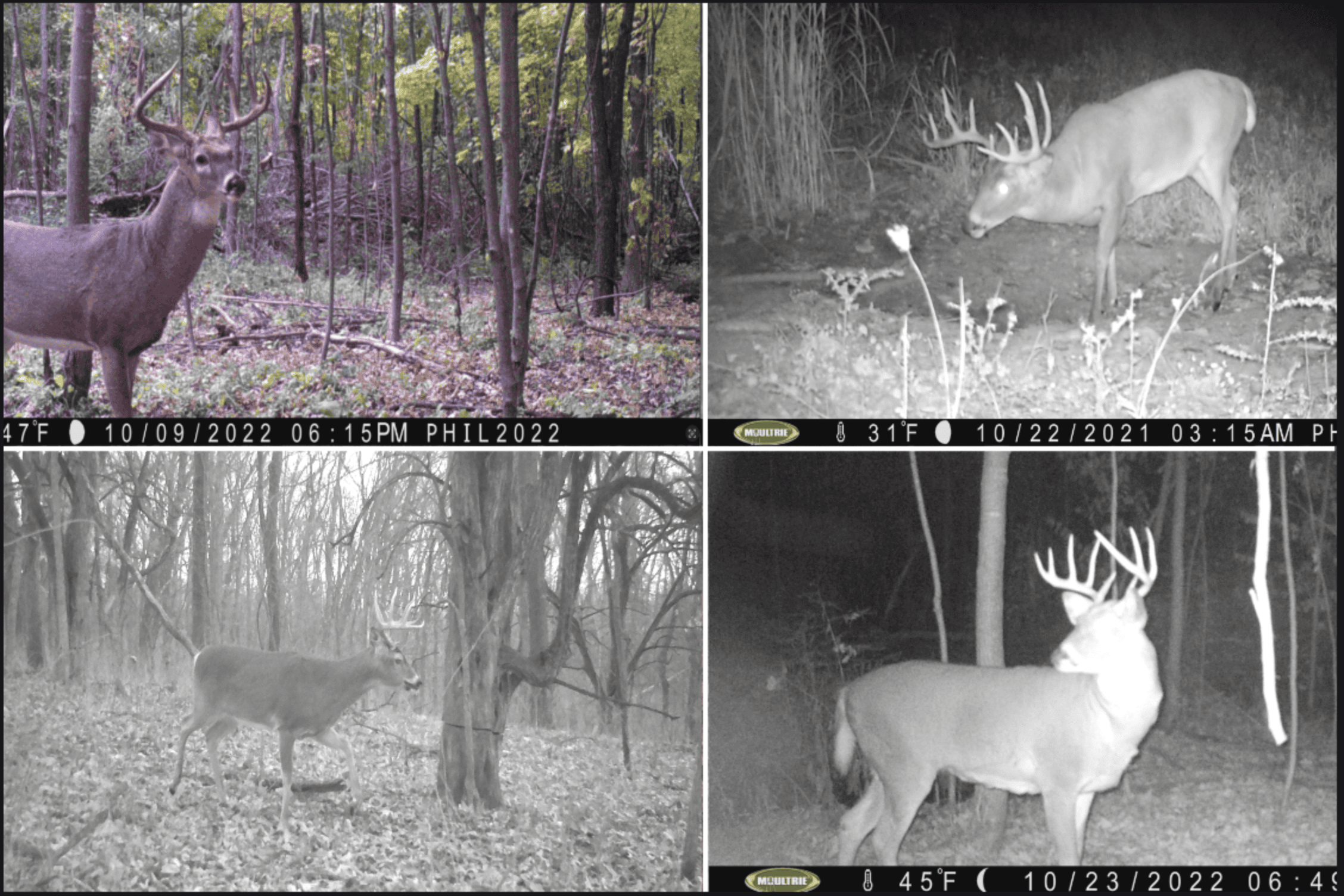 Hunting Land for Sale in Richland County, Wisconsin