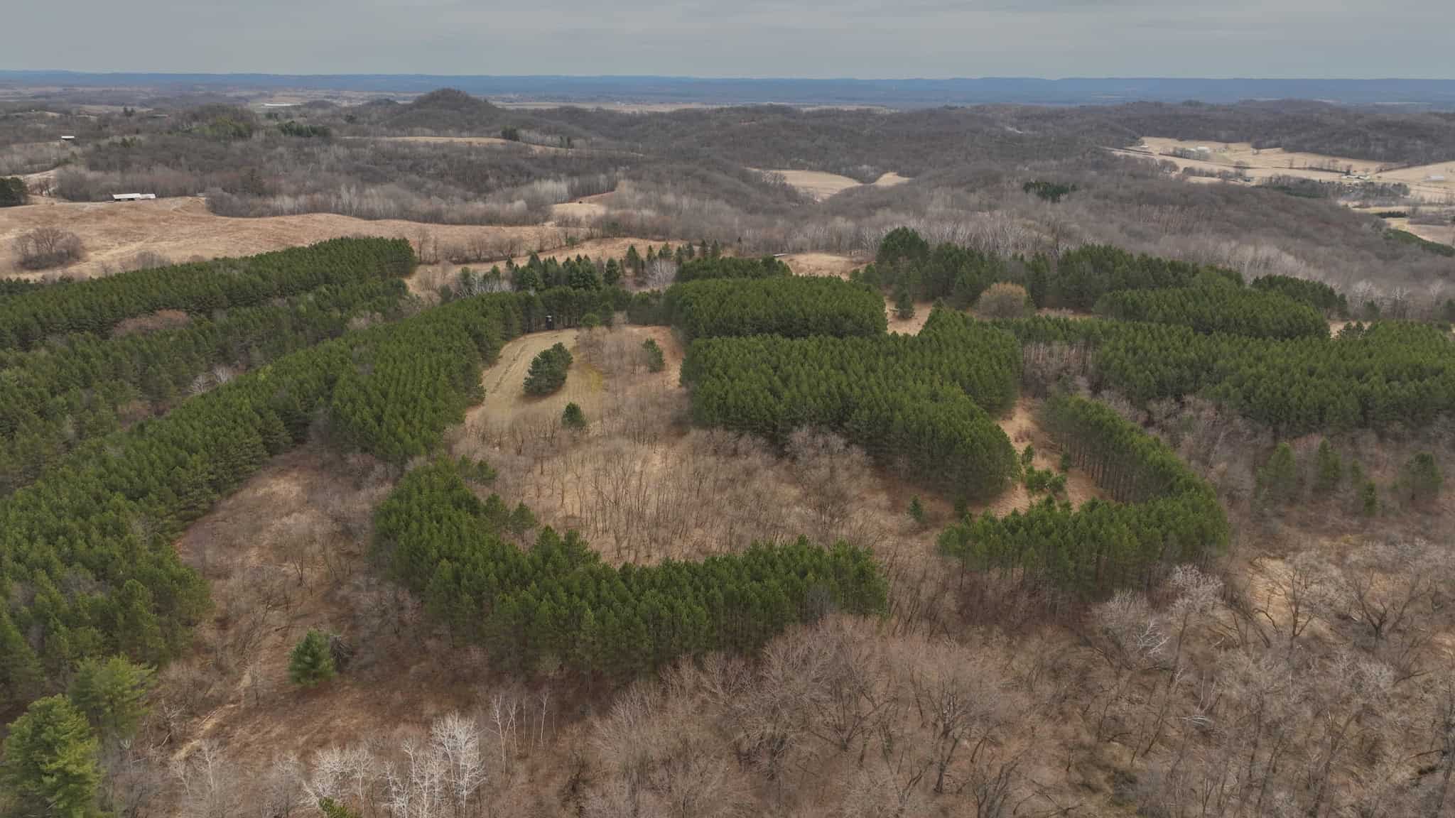 World-Class Recreational and Hunting Property for Sale in Jackson County, Wisconsin