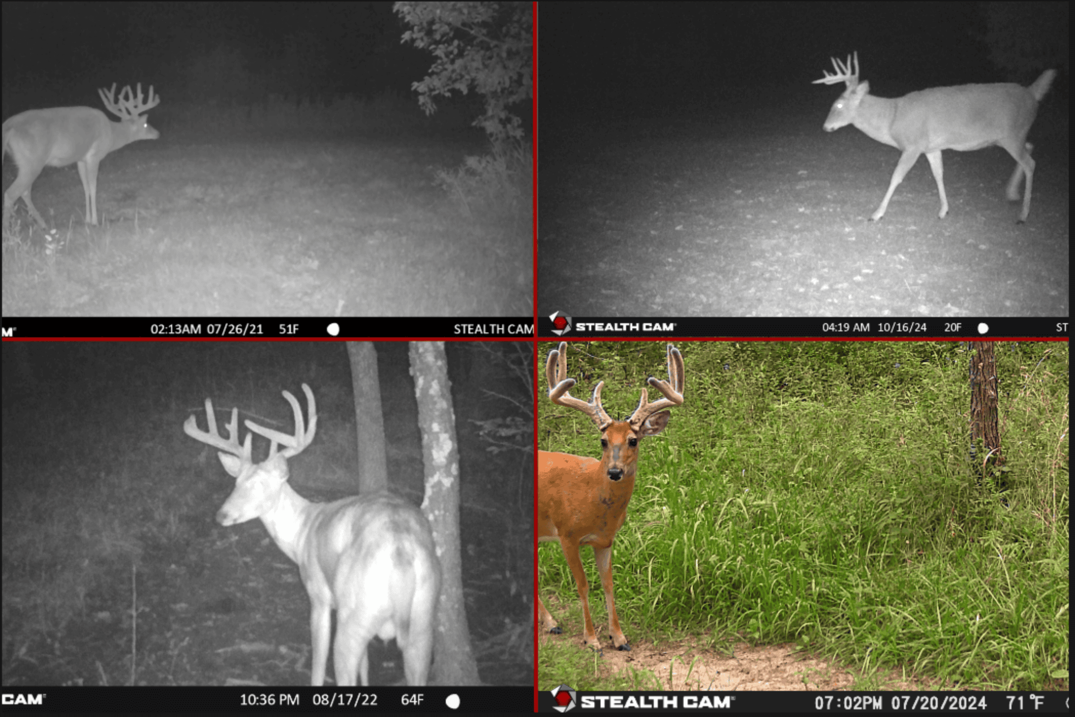 Nearly 1,000-acre Landholding for Sale in Wisconsin