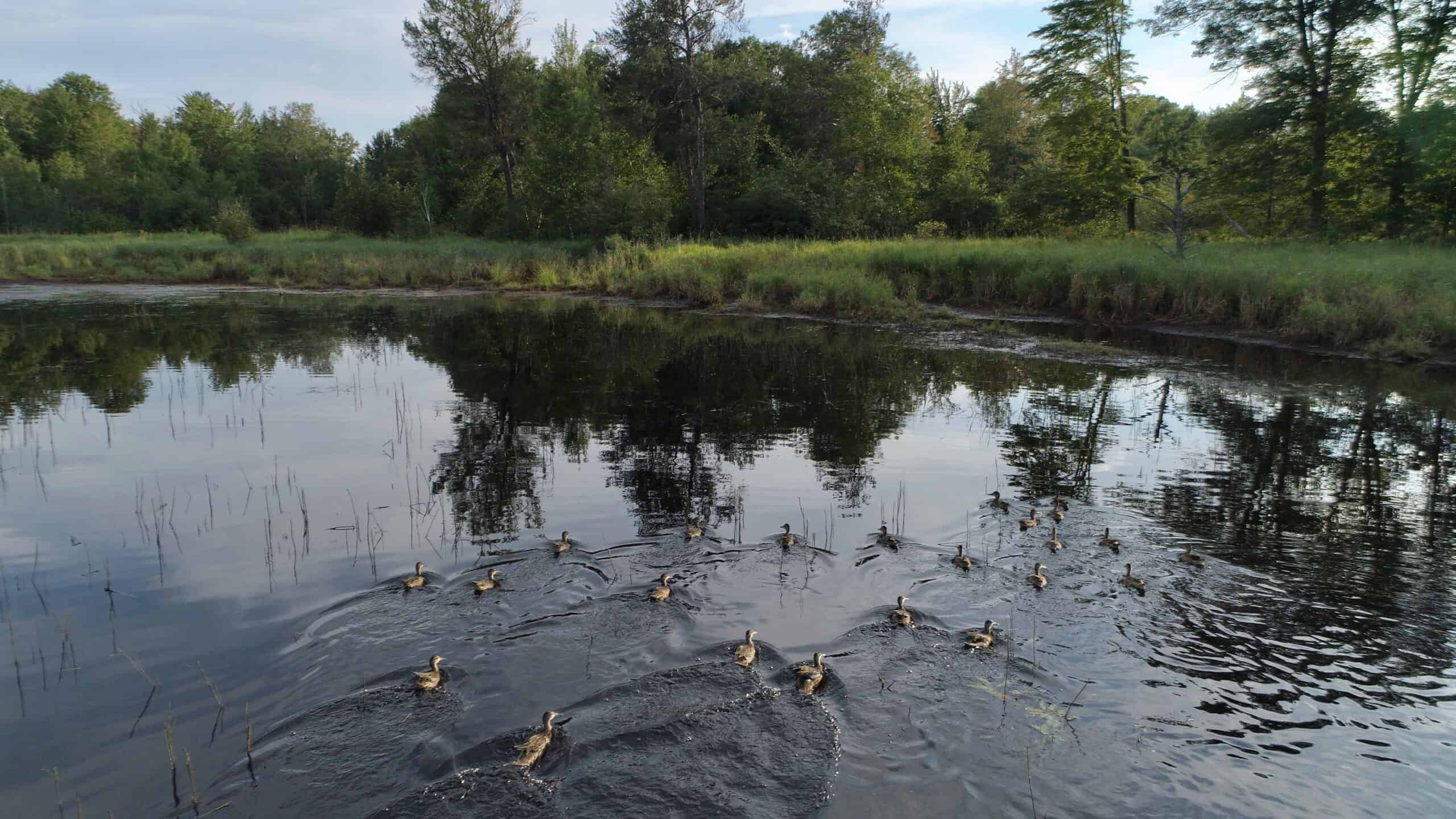 Nearly 1,000-acre Landholding for Sale in Wisconsin