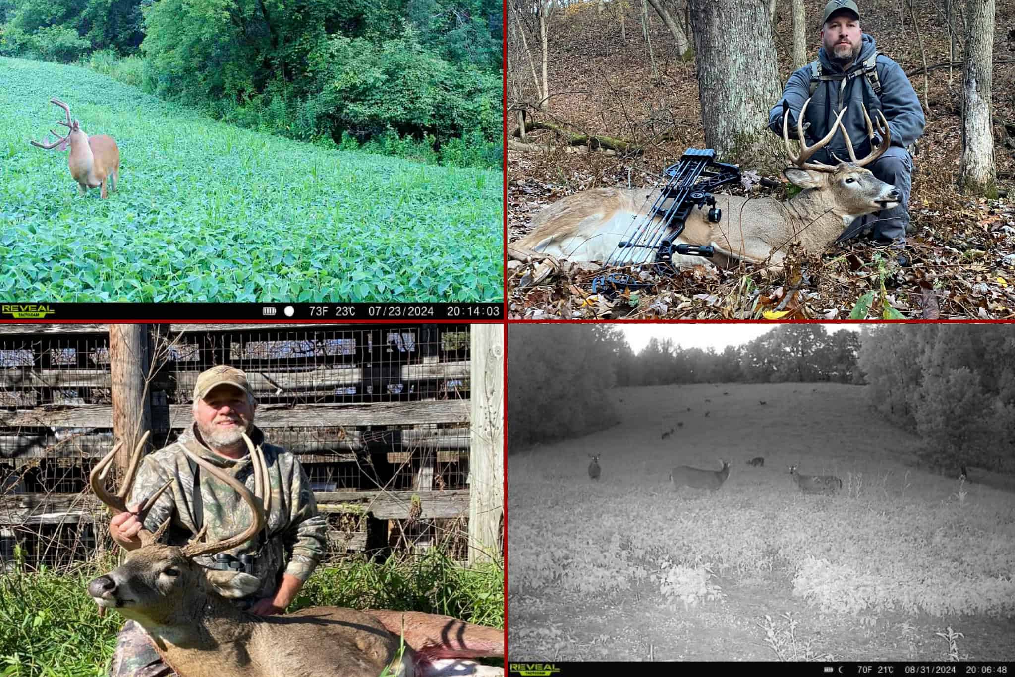World-Class Recreational and Hunting Property for Sale in Jackson County, Wisconsin
