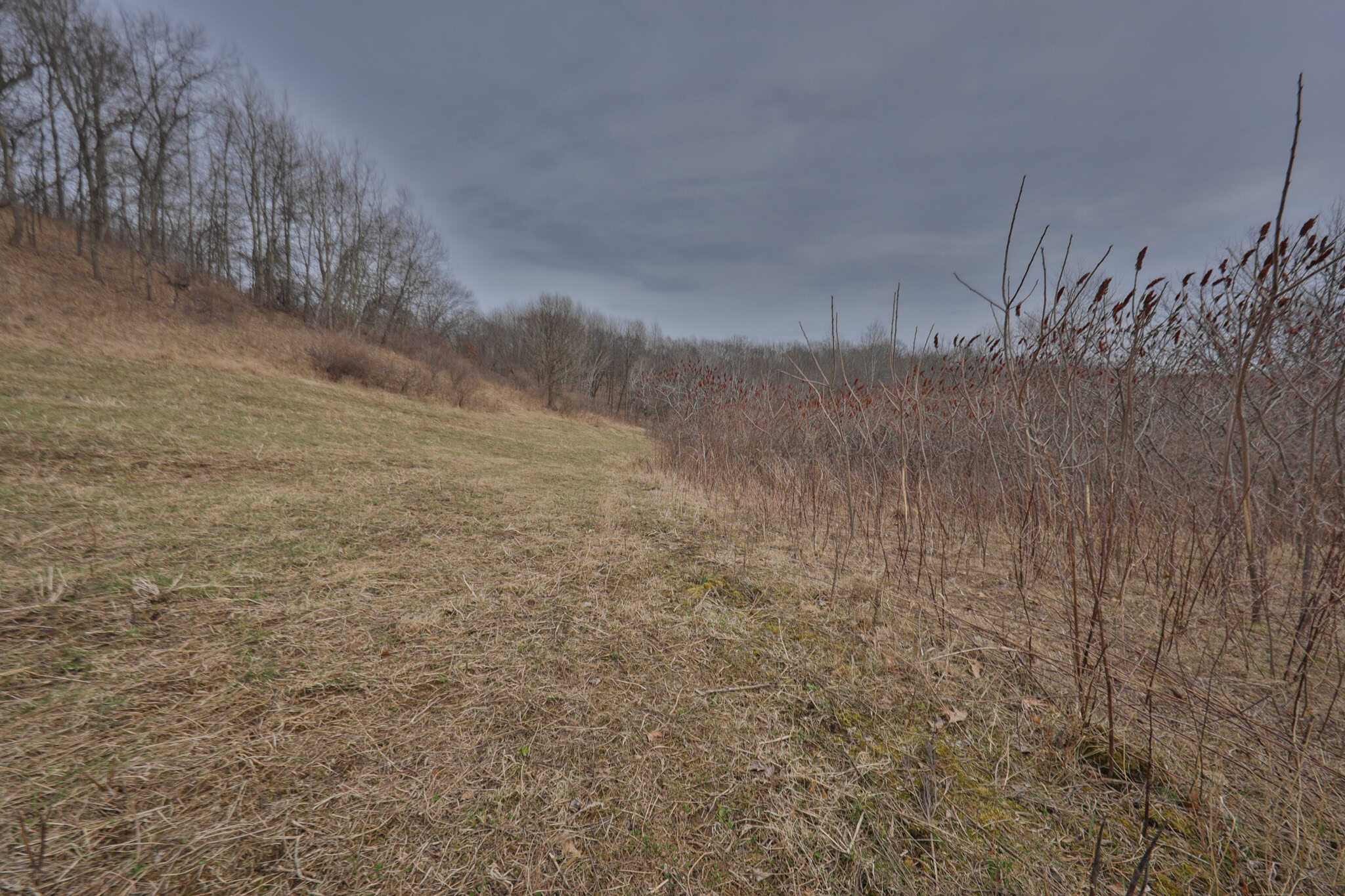 World-Class Recreational and Hunting Property for Sale in Jackson County, Wisconsin