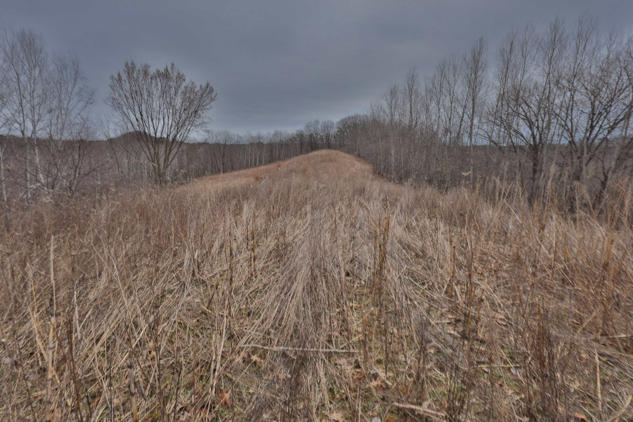 World-Class Recreational and Hunting Property for Sale in Jackson County, Wisconsin