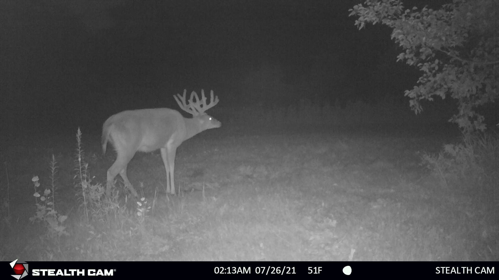 Nearly 1,000-acre Landholding for Sale in Wisconsin