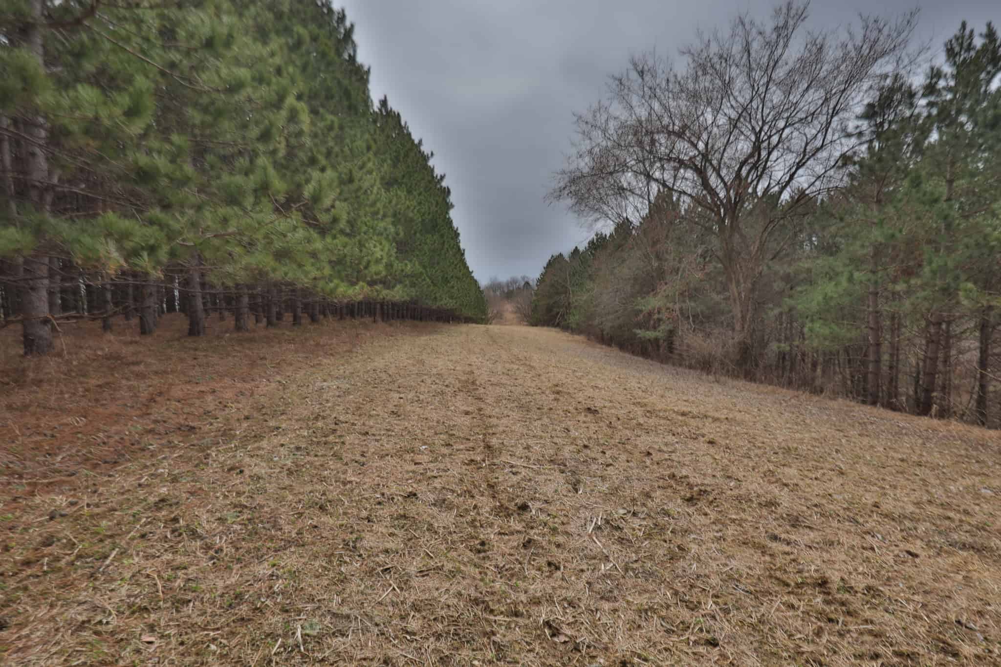World-Class Recreational and Hunting Property for Sale in Jackson County, Wisconsin