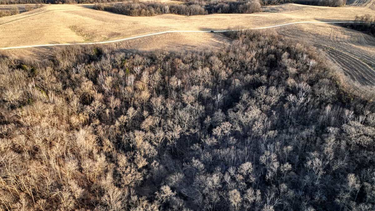 Rare Driftless Area Retreat: 28+/- Acres in Crawford County, WI