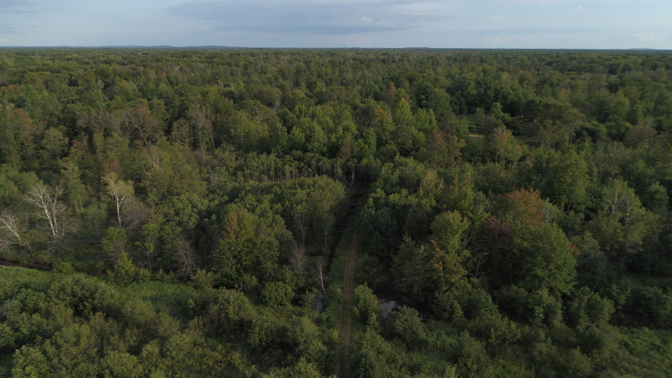 Nearly 1,000-acre Landholding for Sale in Wisconsin