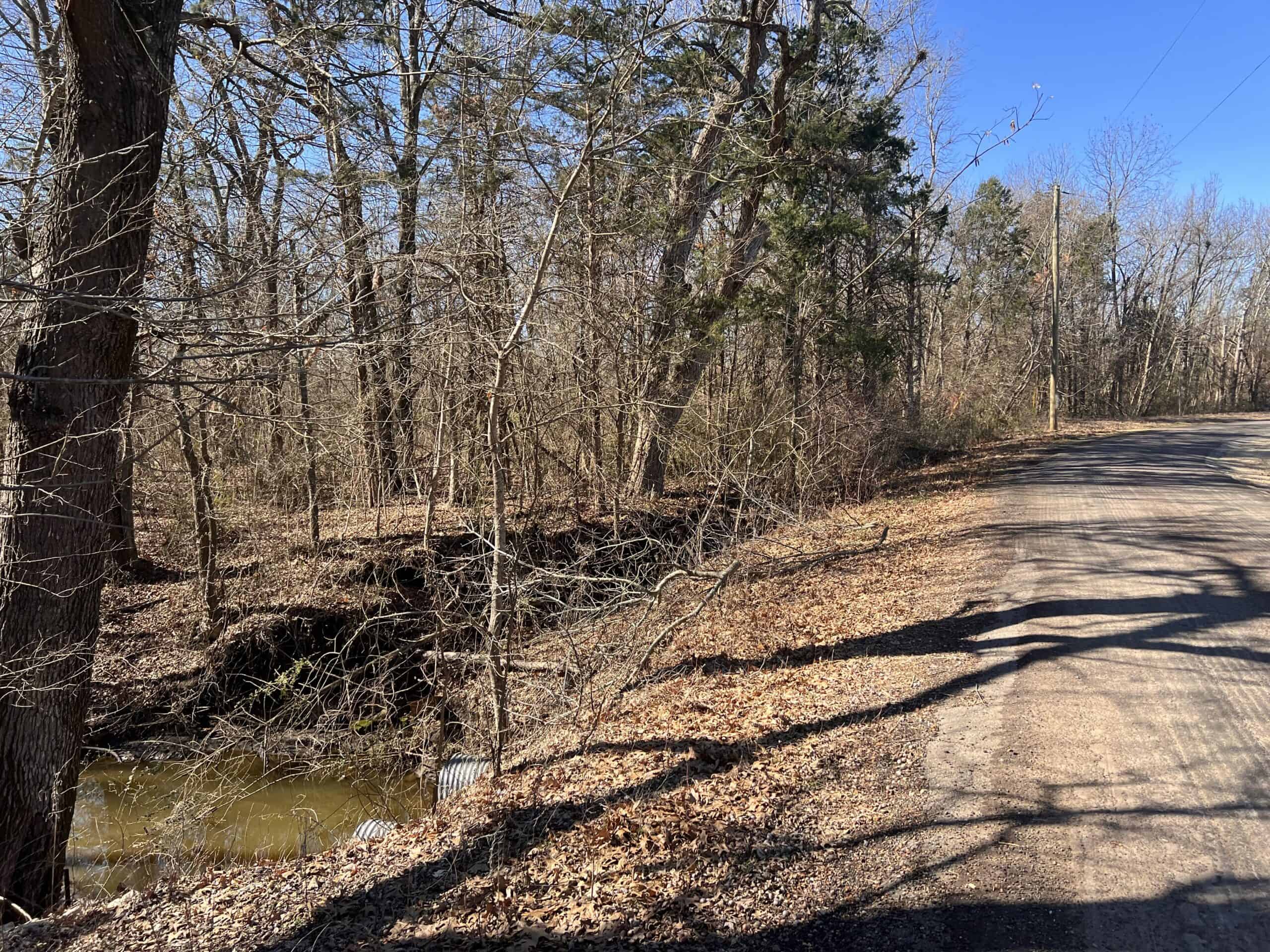 Wooded Acreage For Sale Roxton TX