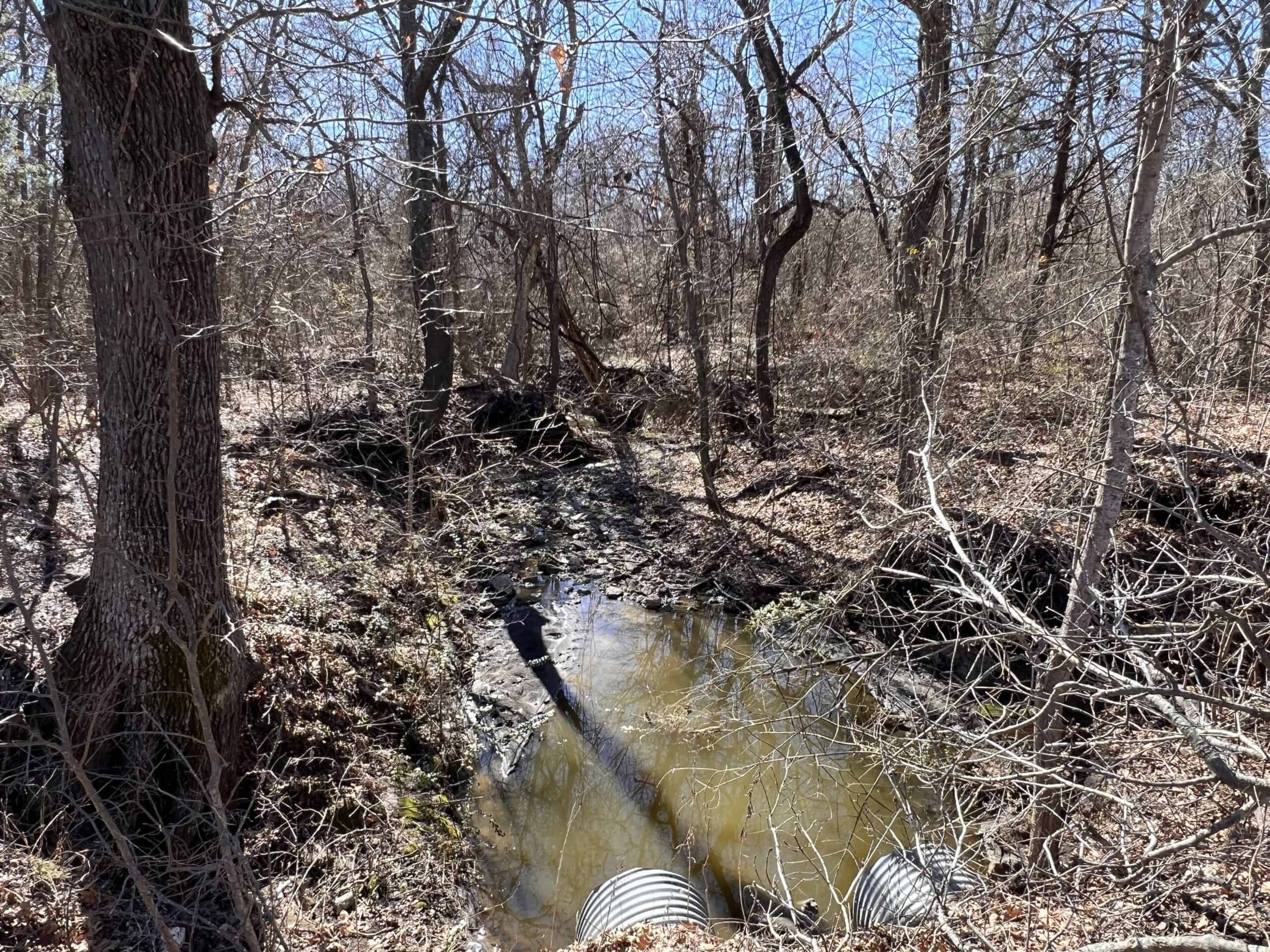 Wooded Acreage For Sale Roxton TX